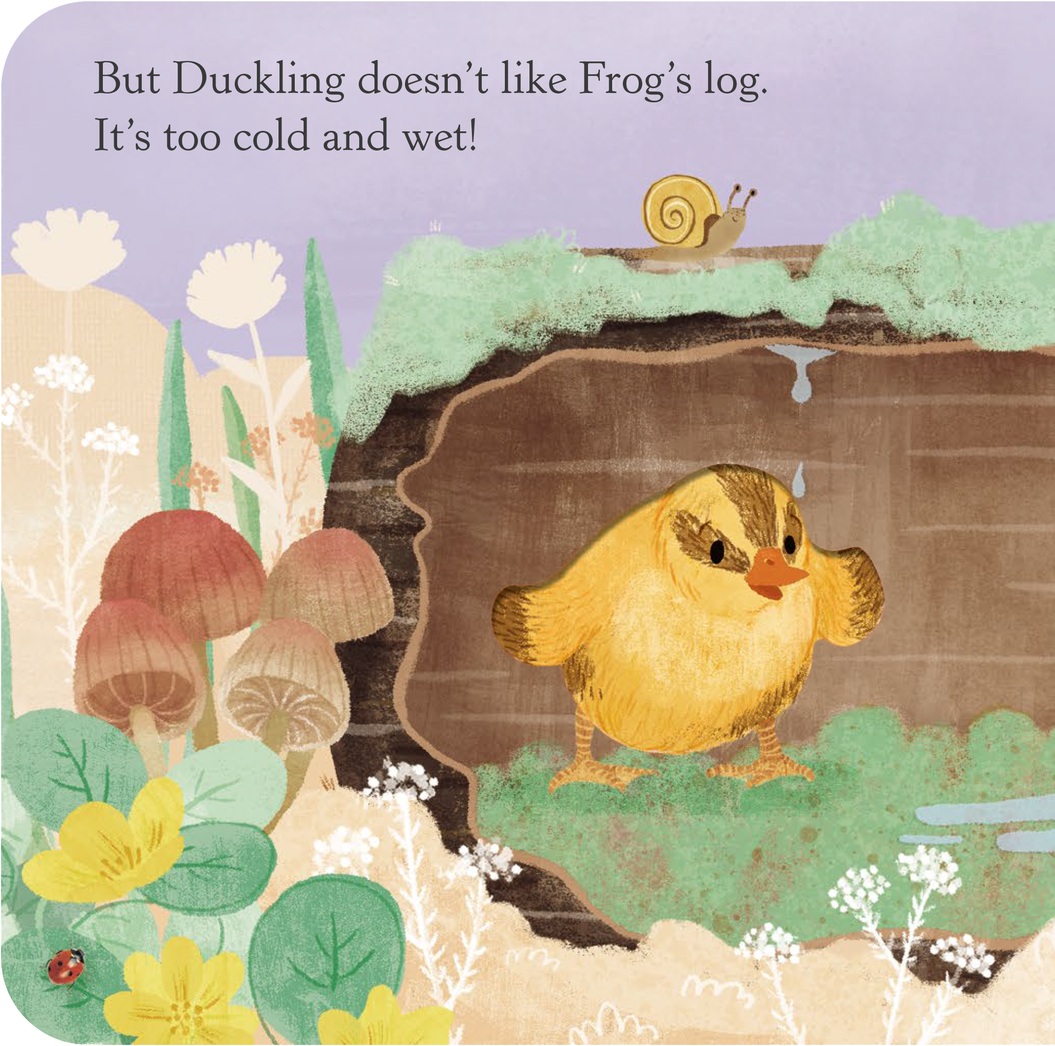 An illustrated garden scene with a quote about ducks and frogs. The scene includes colorful flowers, a snail on a branch, and a duckling with a yellow body and orange beak. A ladybug is visible on a green leaf in the bottom left corner.