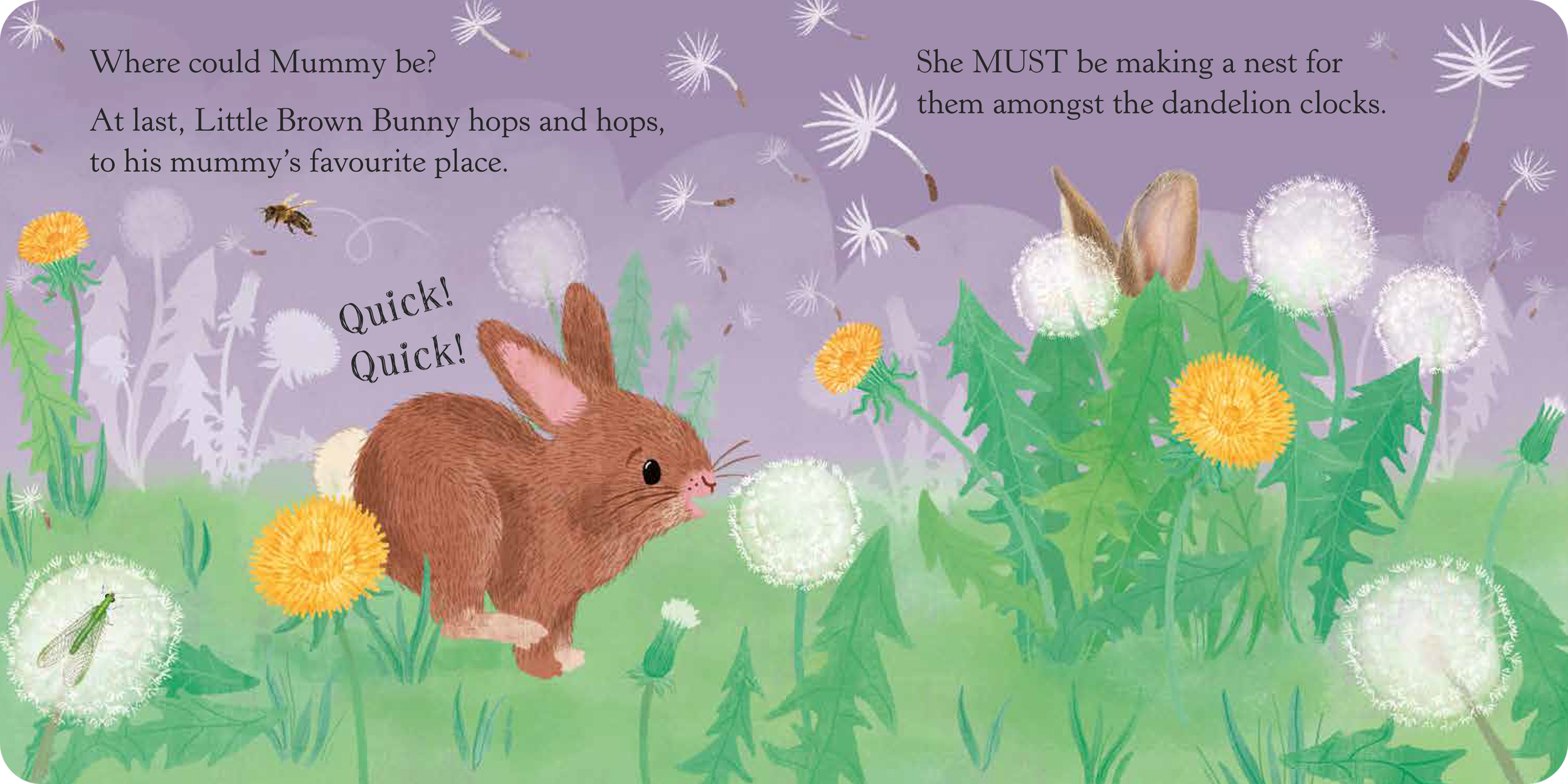 A cute illustration of a bunny hopping in a field of dandelions and green plants, with a purple sky background and white dandelion seeds floating in the air. The text reads: "Where could Mummy be? At last, Little Brown Bunny hops and hops, to his mummy’s favourite place. She MUST be making a nest for them amongst the dandelion clocks. Quick! Quick!"
