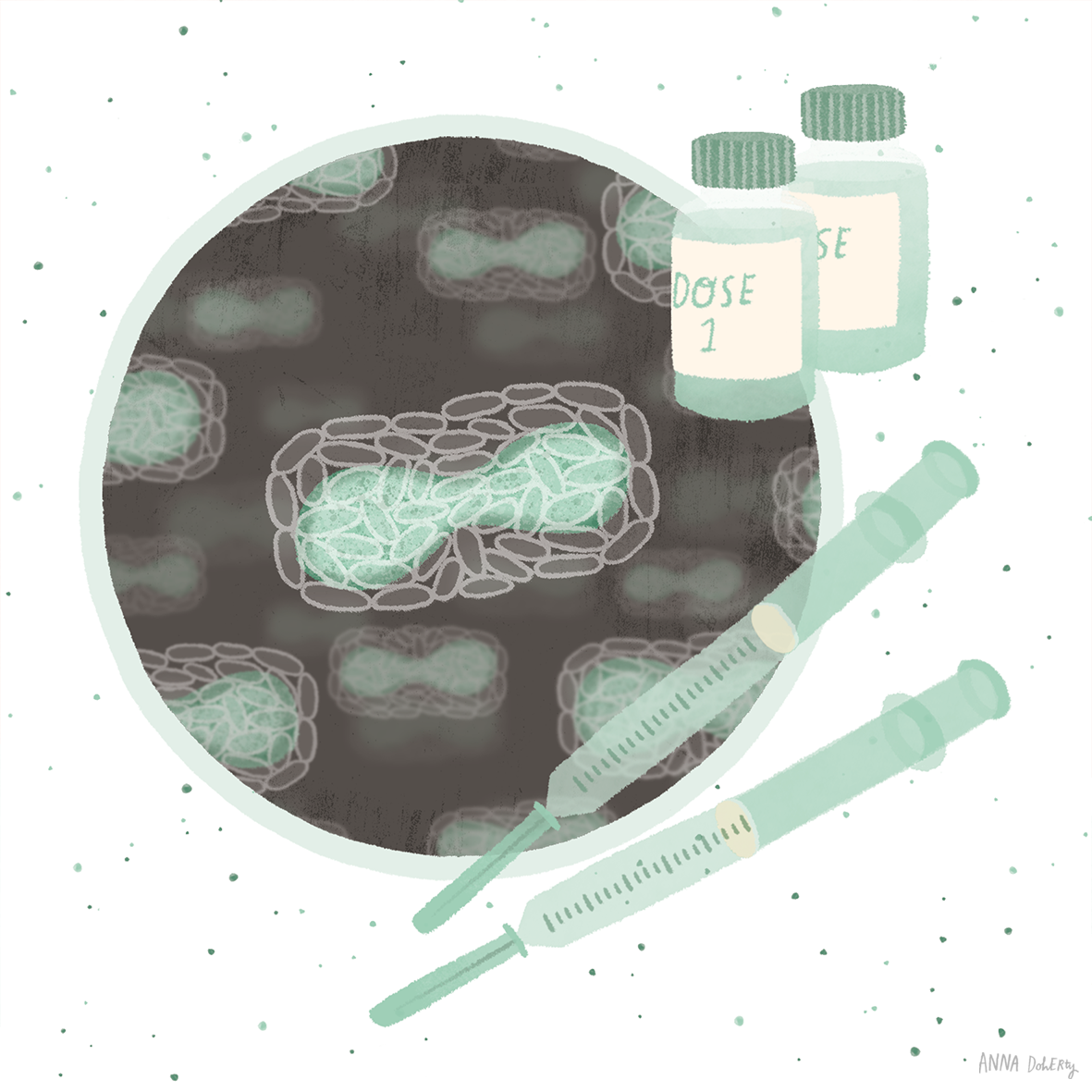 Illustration of a petri dish with bacteria, two vaccine vials labeled "dose 1," and two syringes, representing vaccination process.