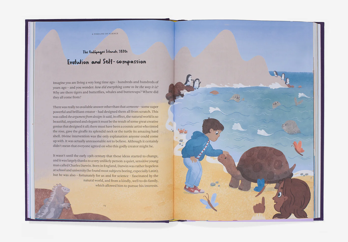 A colorful illustration of a boy at the beach interacting with a turtle. The ocean has rocks and seals, with mountains in the background. There are also a butterfly and a girl with curly hair watching the scene.