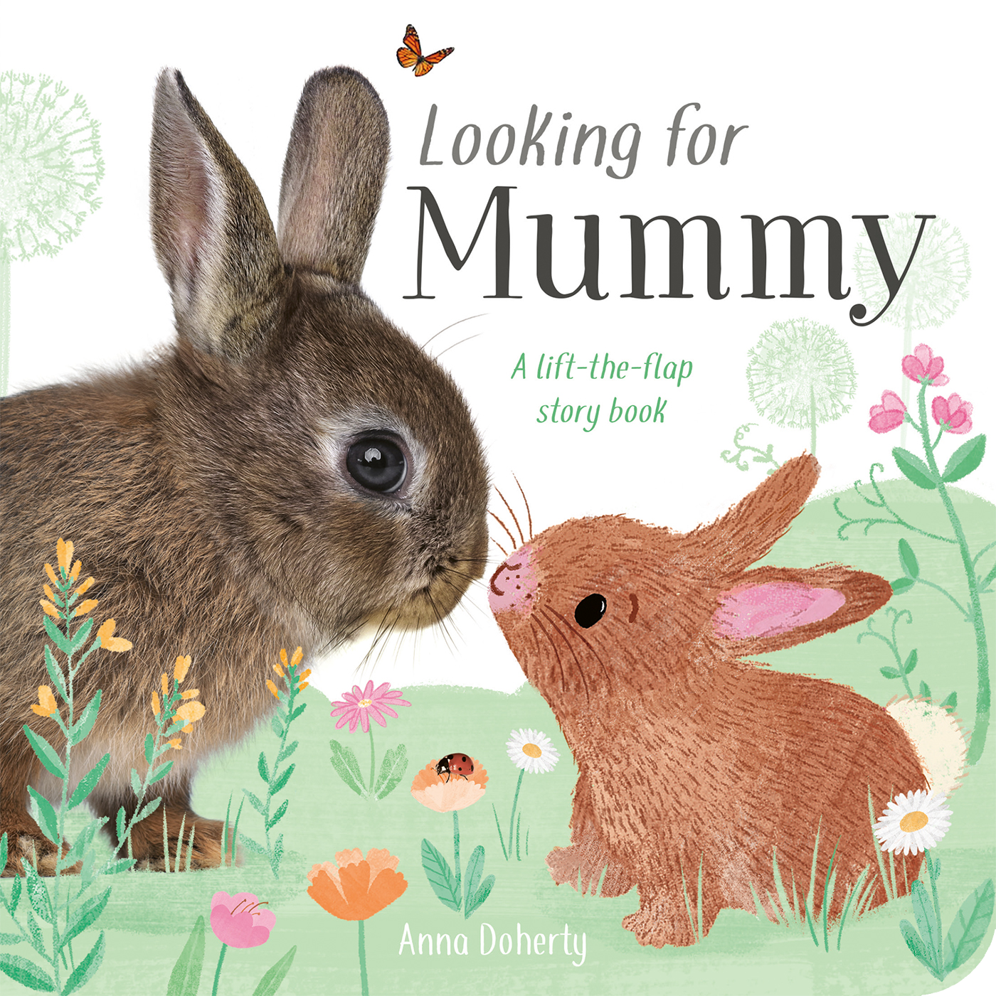 Illustration of a rabbit and an illustrated squirrel surrounded by flowers and plants, with the text "Looking for Mummy: A lift-the-flap story book" by Anna Doherty.