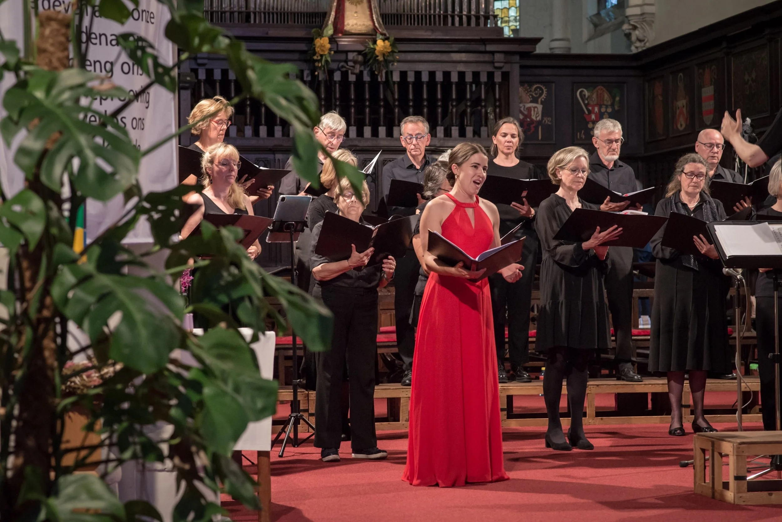 Samenwerking sopraan