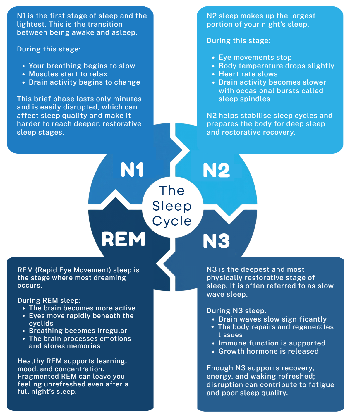 a diagram showing the different stages of sleep