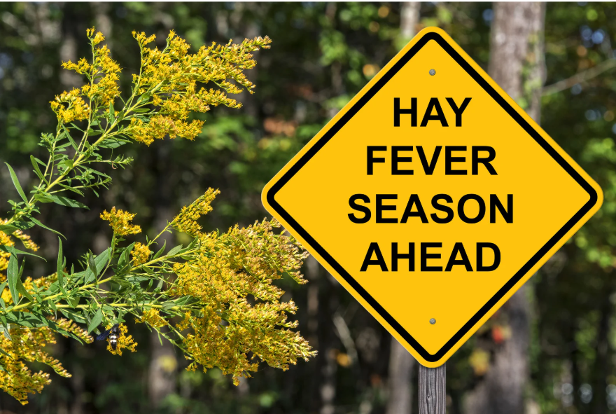 Does Hayfever Make My Snoring Worse?