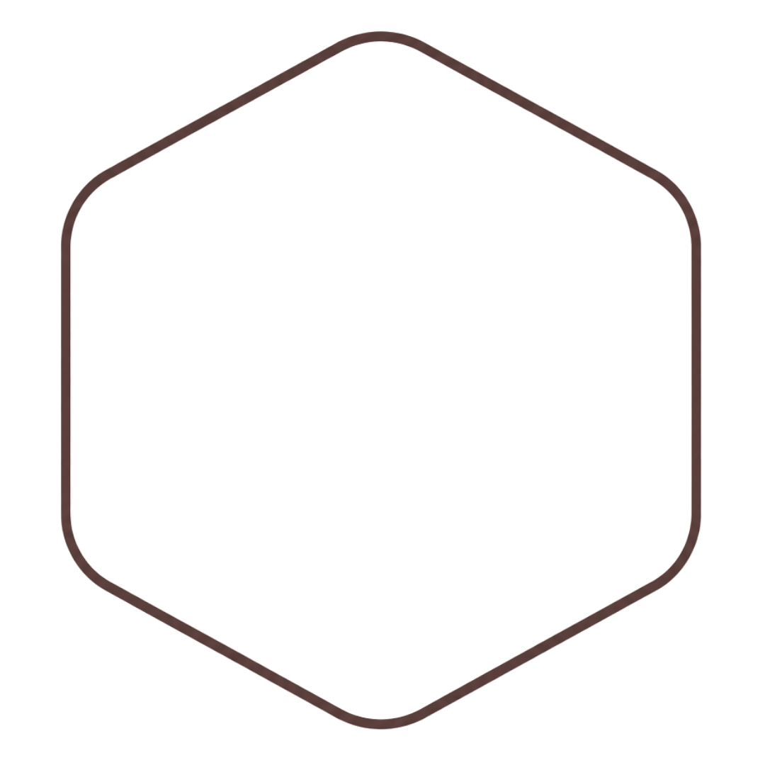 Een badge met een hexagonale vorm en een witte rand, zonder tekst of afbeelding.