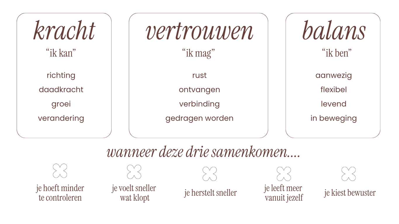 Grafiek met drie hoofdoelen: kracht, vertrouwen en balans, met bijbehorende woorden en uitleg wanneer deze samenkomen, zoals minder controleren, sneller voet zetten, herstellen, meer leven vanuit jezelf en bewust kiezen.