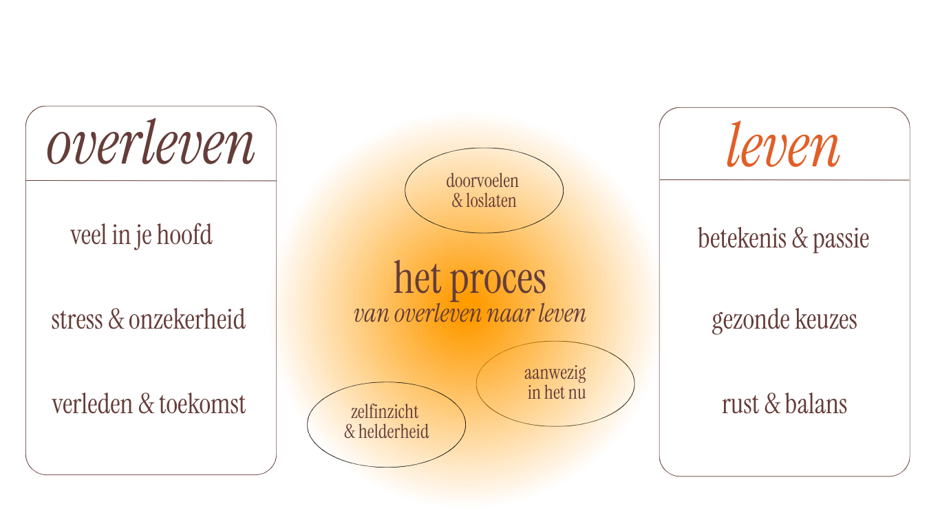 Diagram met cirkel en tekst in het Nederlands. De grote cirkel bevat de tekst 'het proces van overleven naar leven'. Binnen de cirkel zijn er vier woorden: 'doorvoelen & loslaten', 'aanwezig in het nu', 'zelfinzicht & helderheid', en 'het proces'.