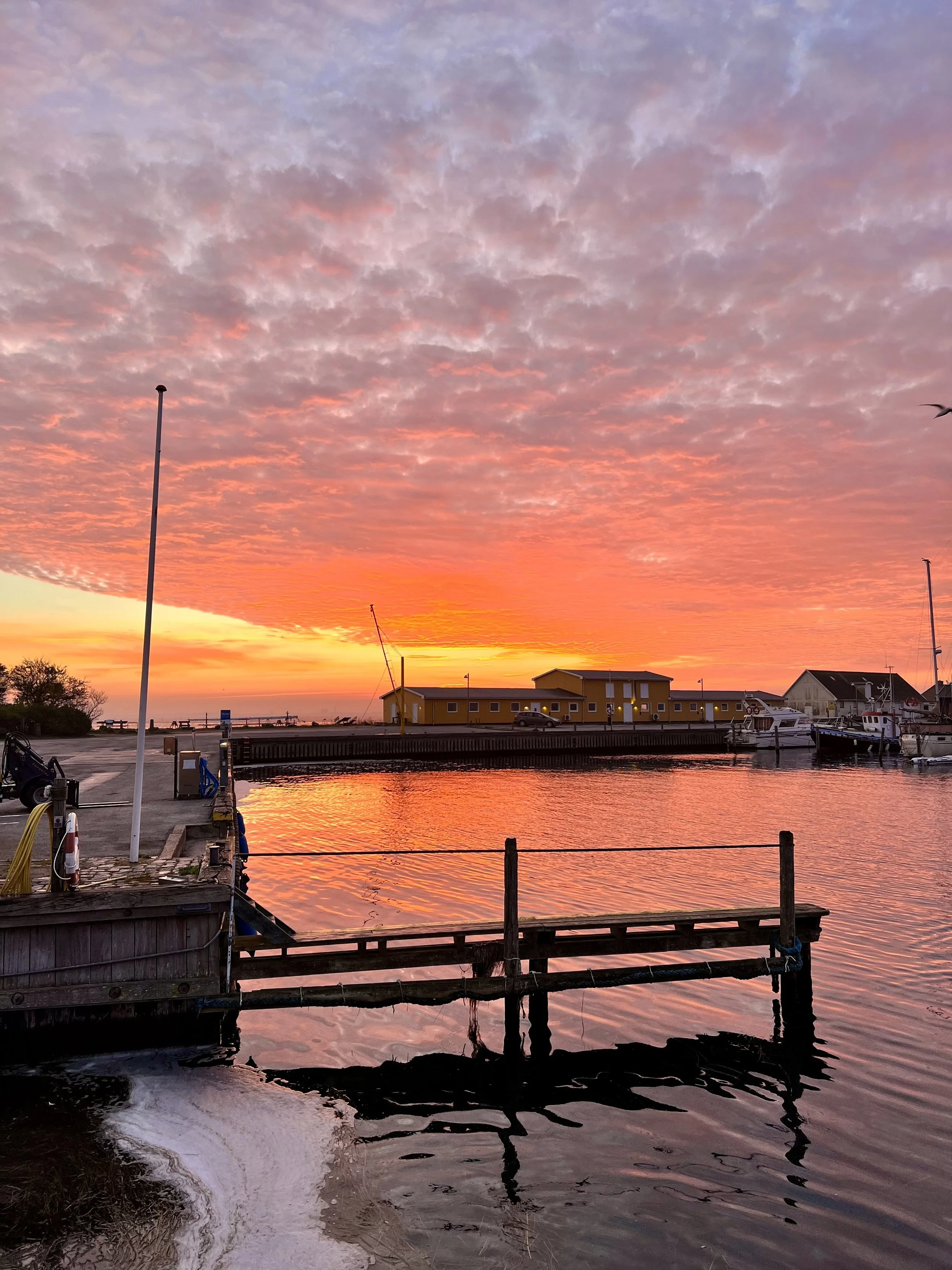 Morgensol på havnen