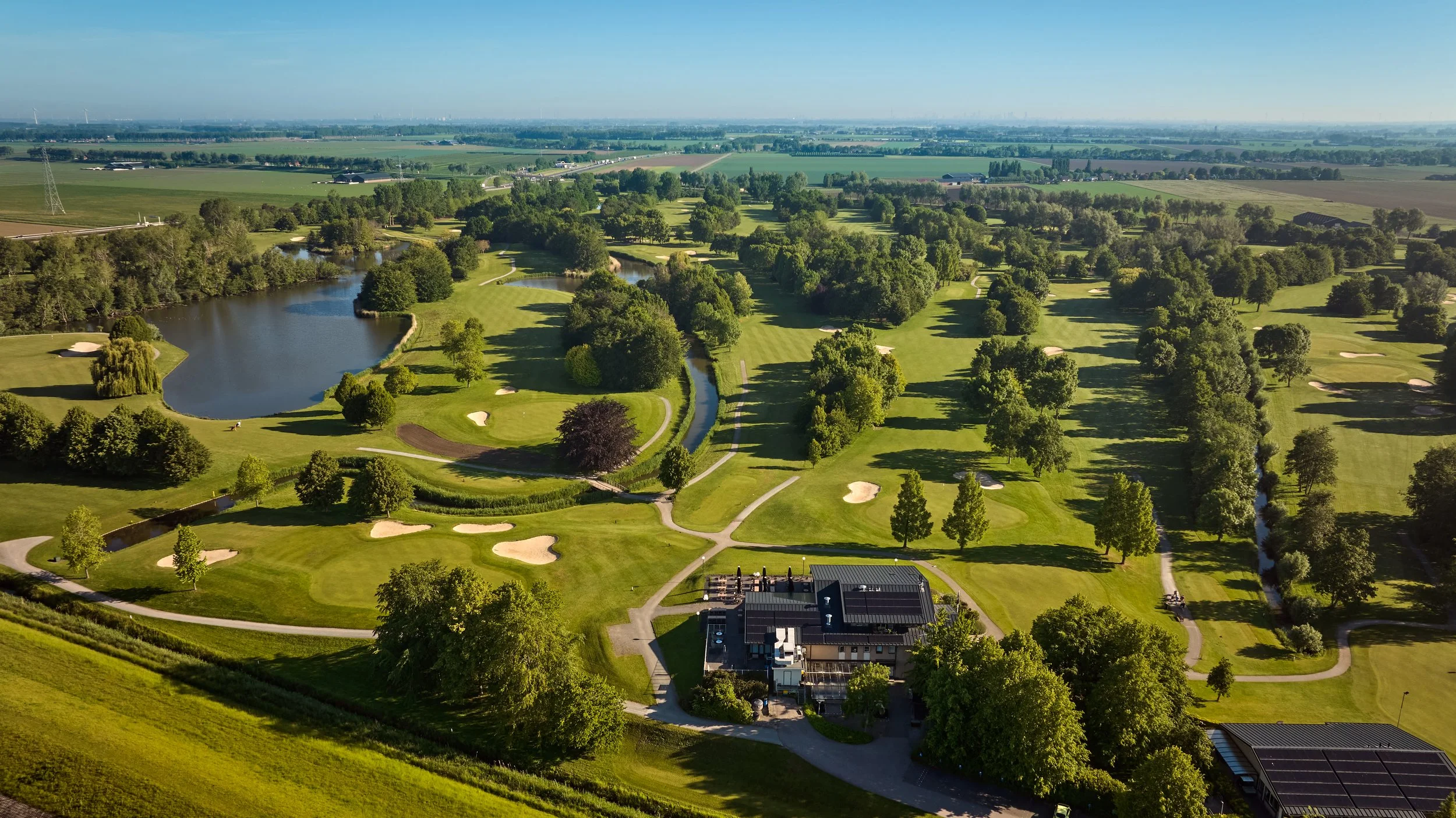 Onze baan: een verrassend rijk bomenbestand