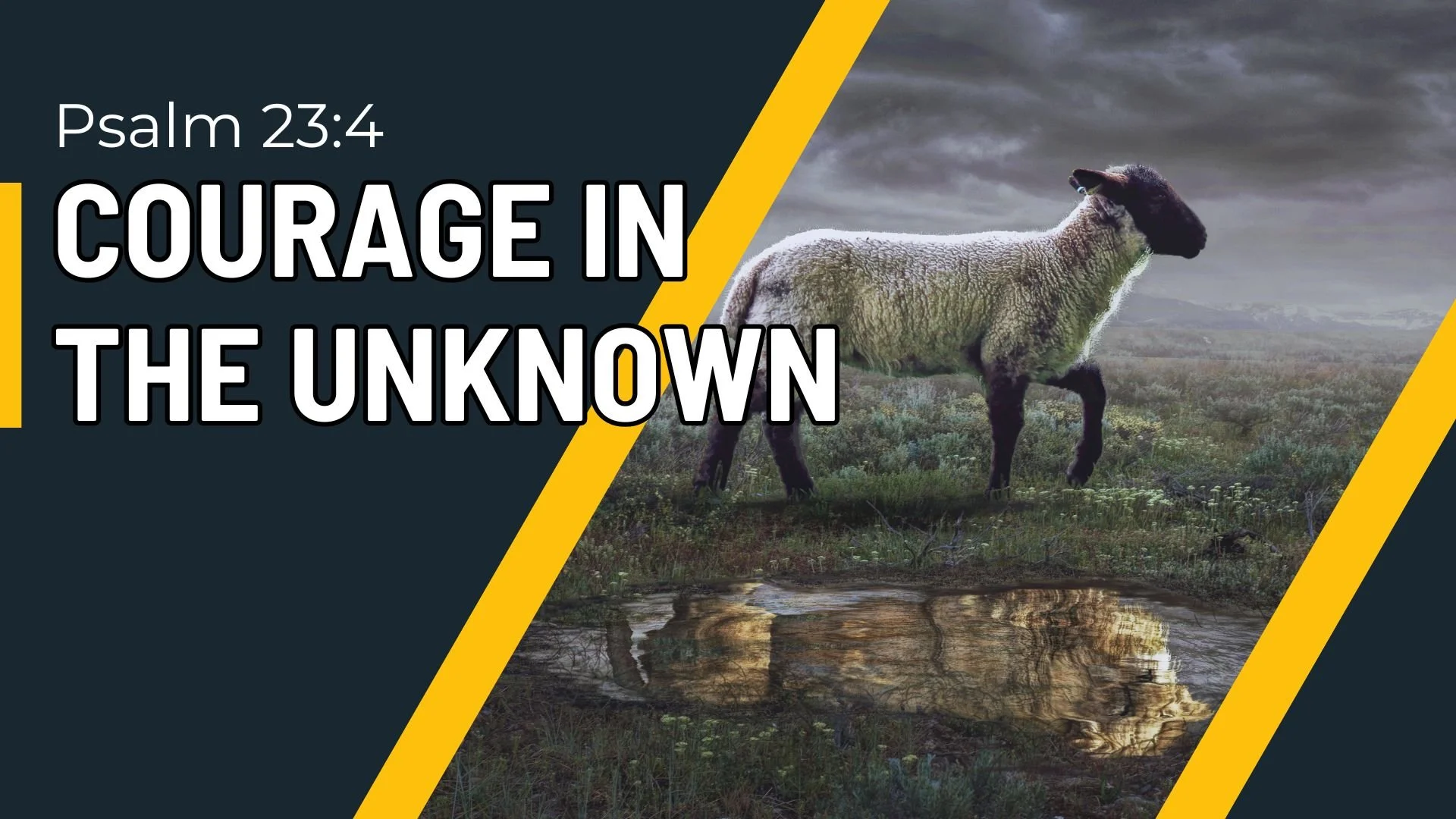 Courage in the Unknown