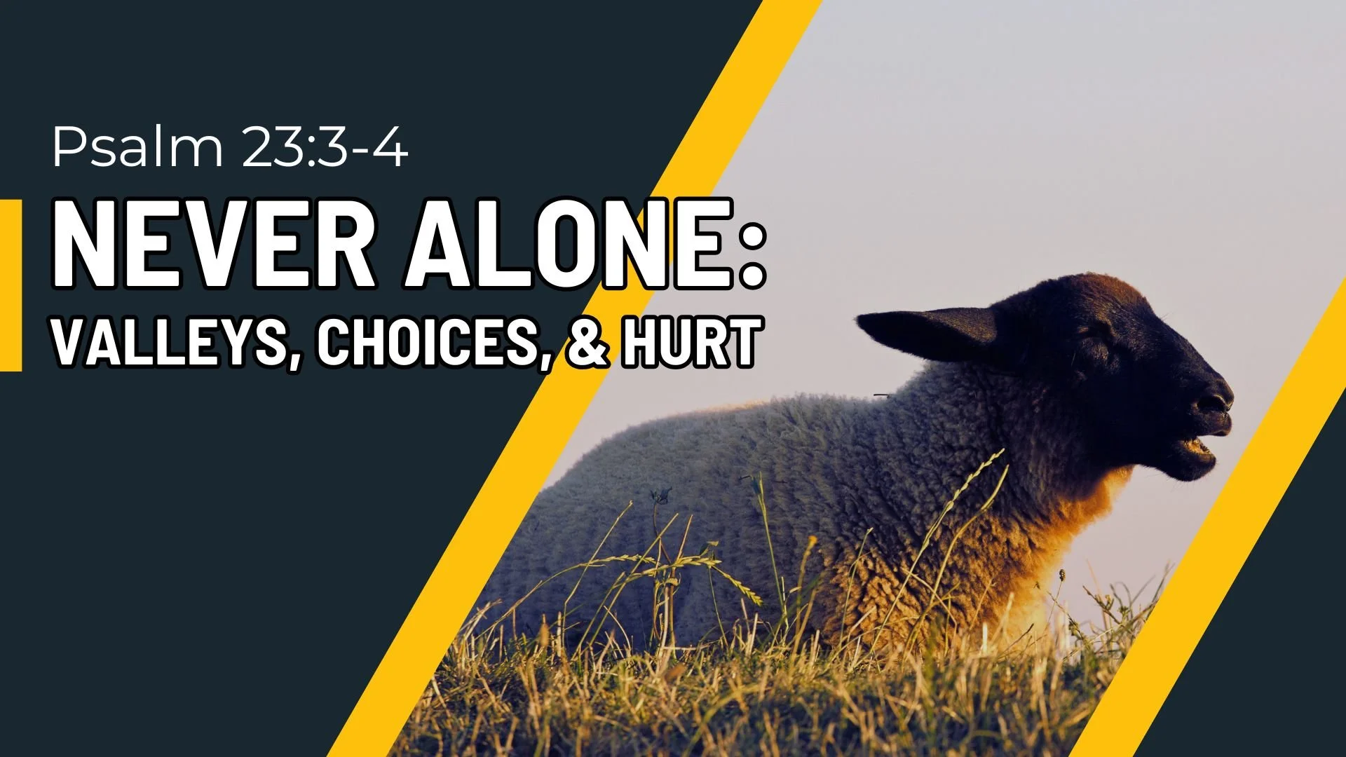 Never Alone: Valleys, Choices, &amp; Hurt