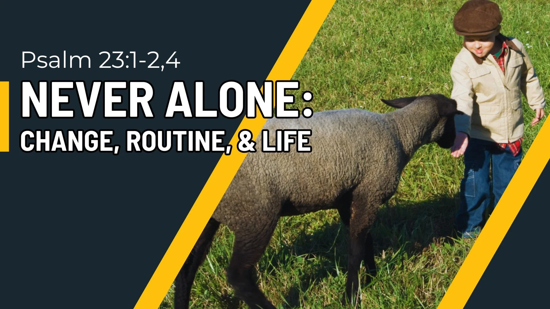 Never Alone: Changes, Routine &amp; Life