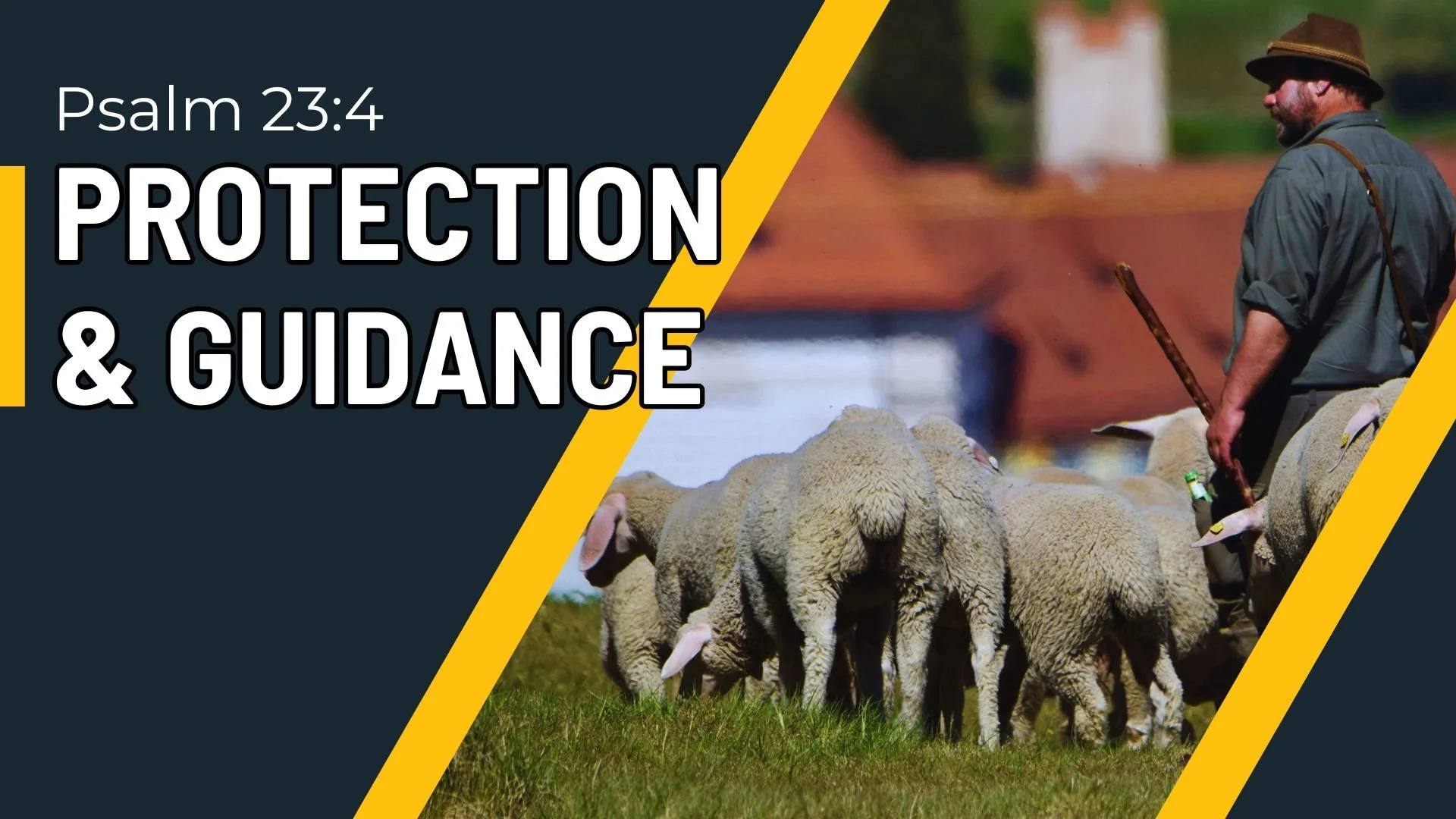 Protection &amp; Guidance