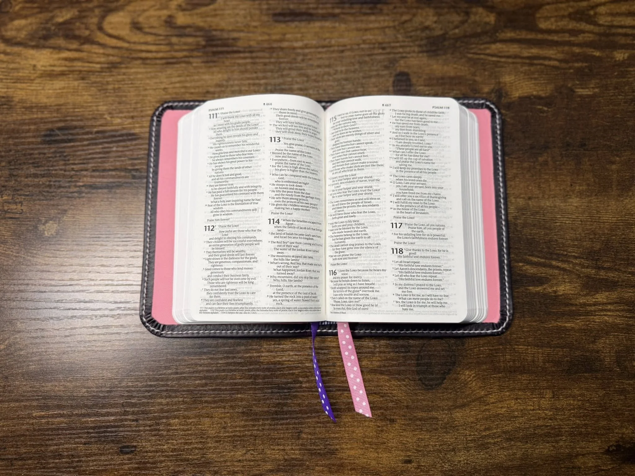 Open Bible resting on a dark wooden surface, with pink and purple/zebra ribbon markers hanging from it.