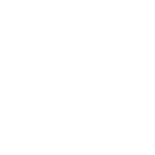 Blessed Arrows Bible Rebinding