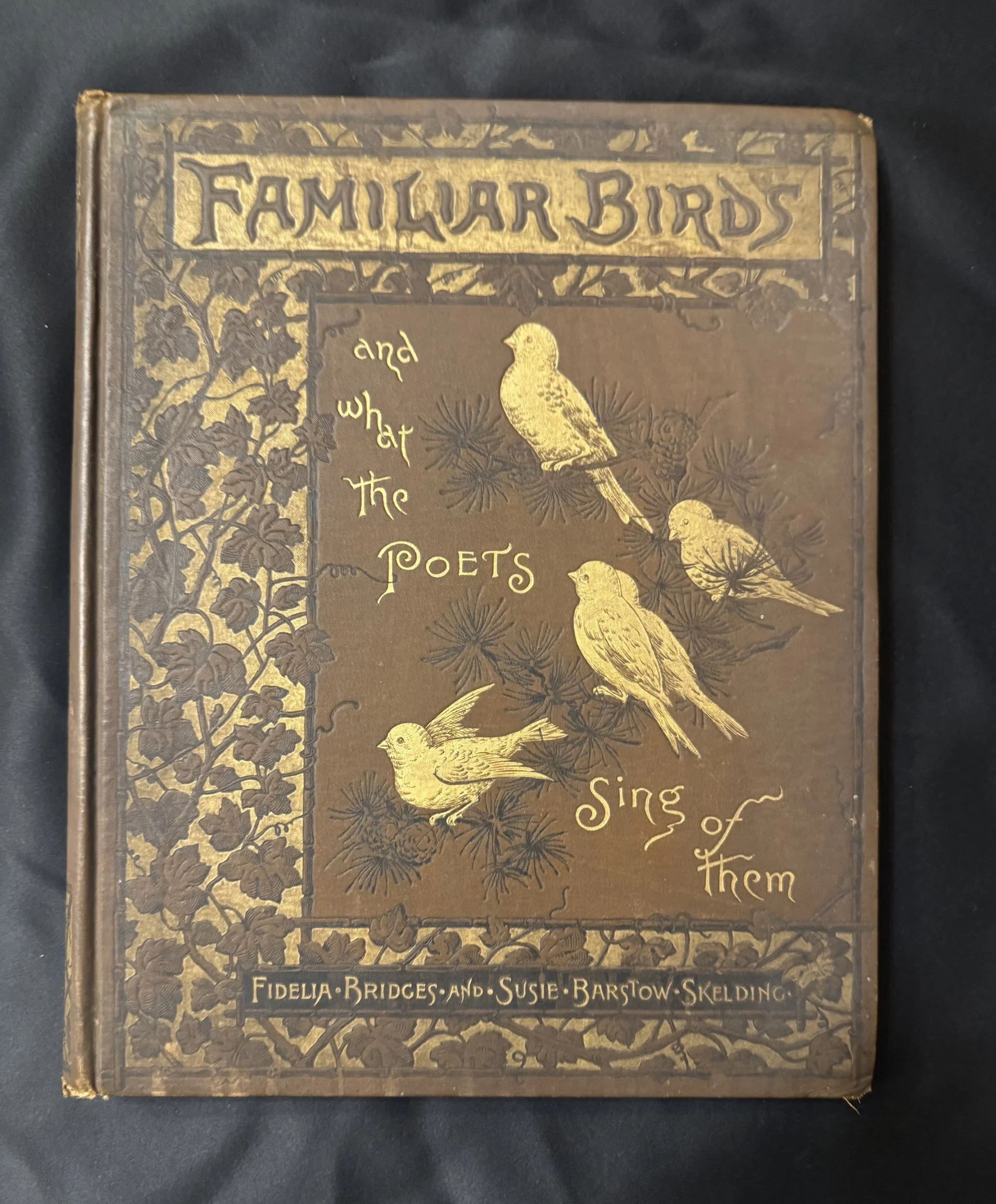 Familiar Birds and What the Poets Sing of Them — Fidelia Bridges, Nature, and an Artistic Circle