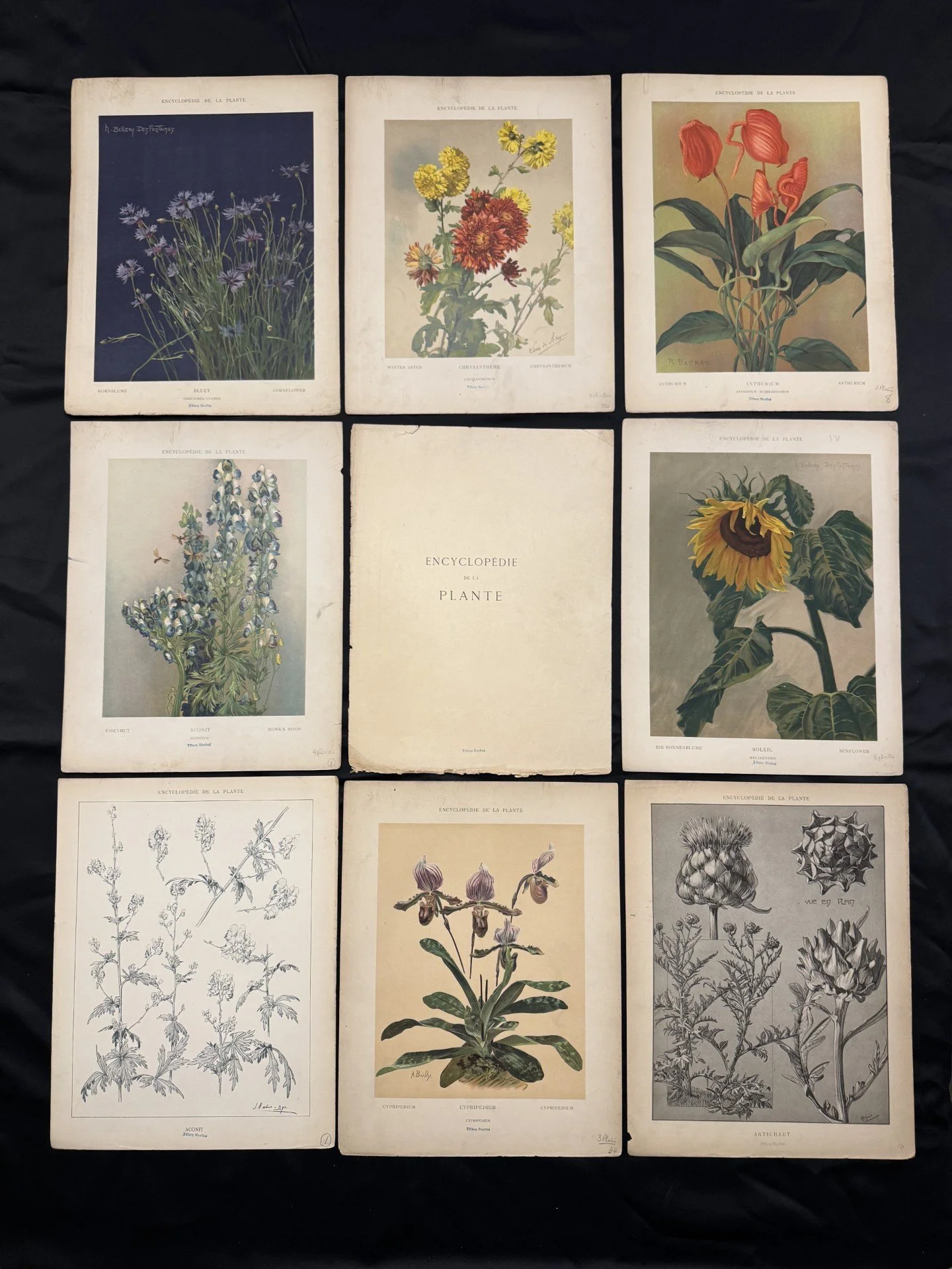 Stamped and Annotated Encyclopédie de la Plante Plates
