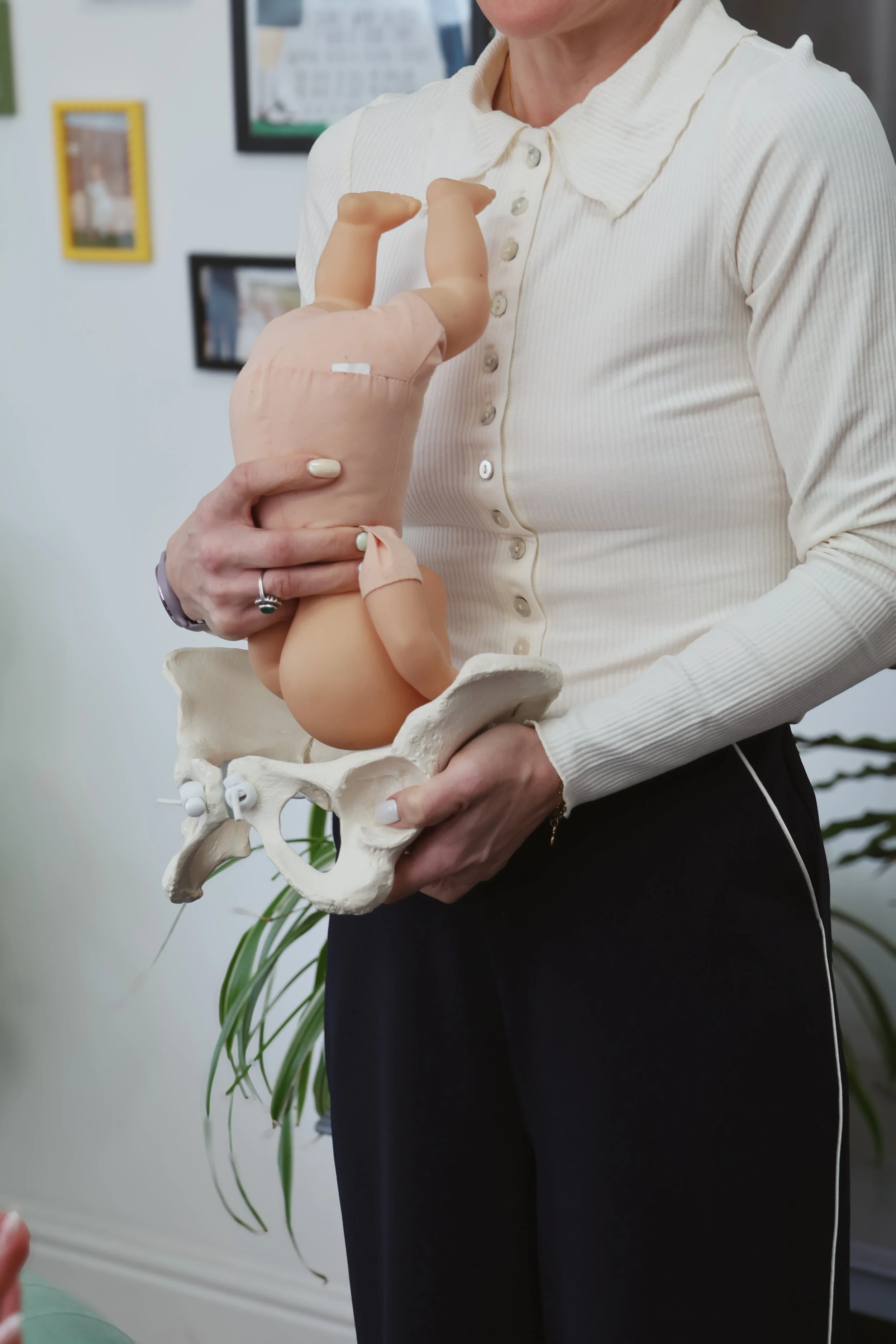 Birth Doula, Hypnobirthing Services and Breastfeeding Counsellor in Coventry