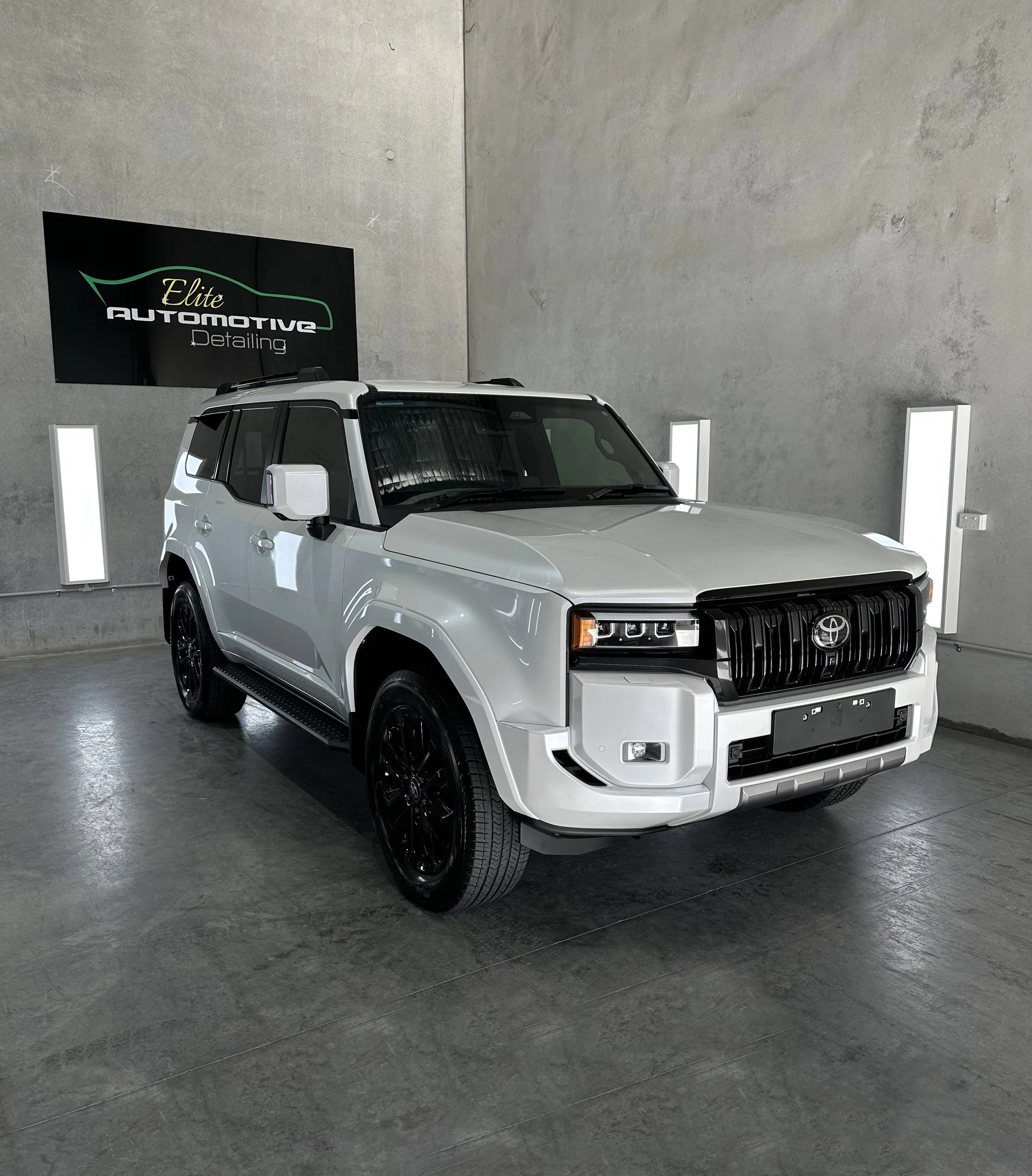 Ceramic Coating and Detailing Expert Illawarra (109).jpeg