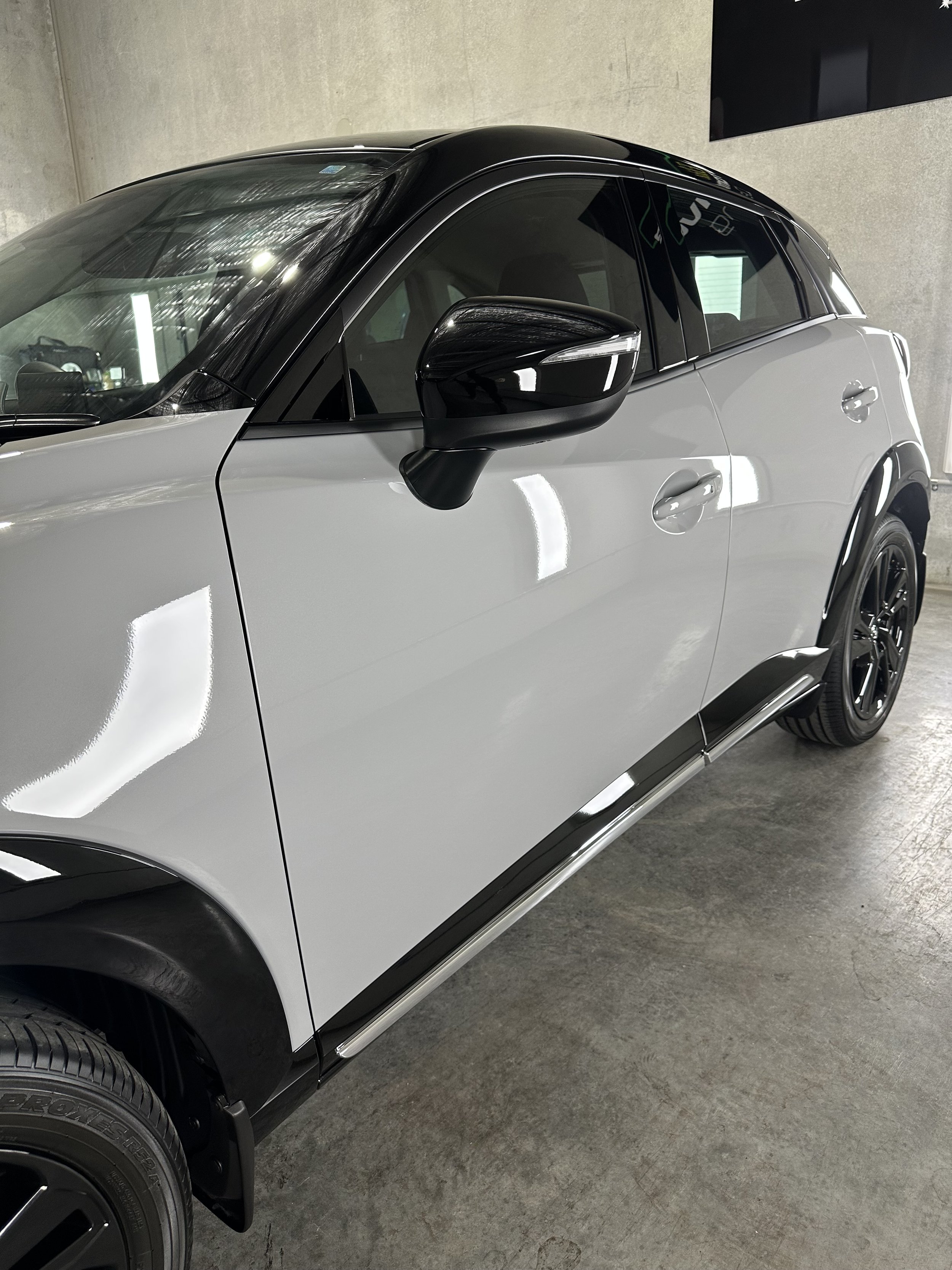 Ceramic Coating and Detailing Expert Illawarra (83).jpeg
