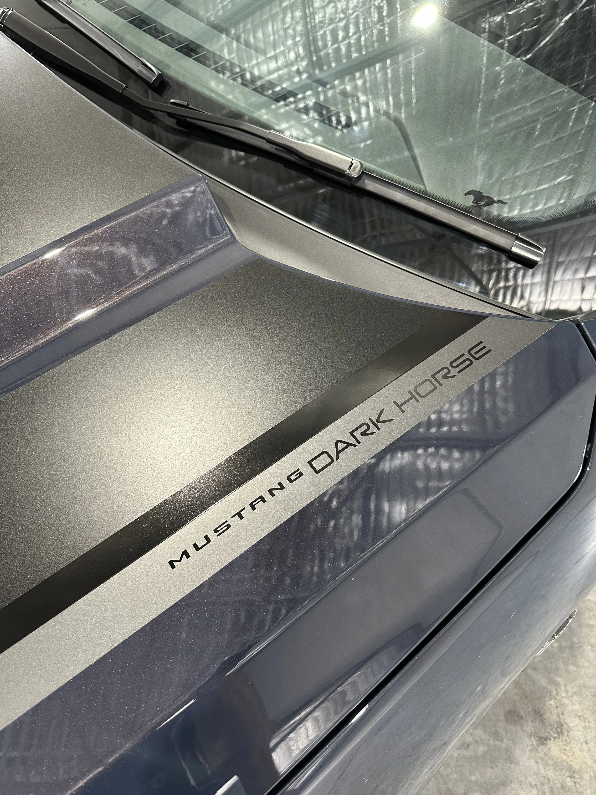 Elite Automotive Detailing Illawarra (31).jpeg