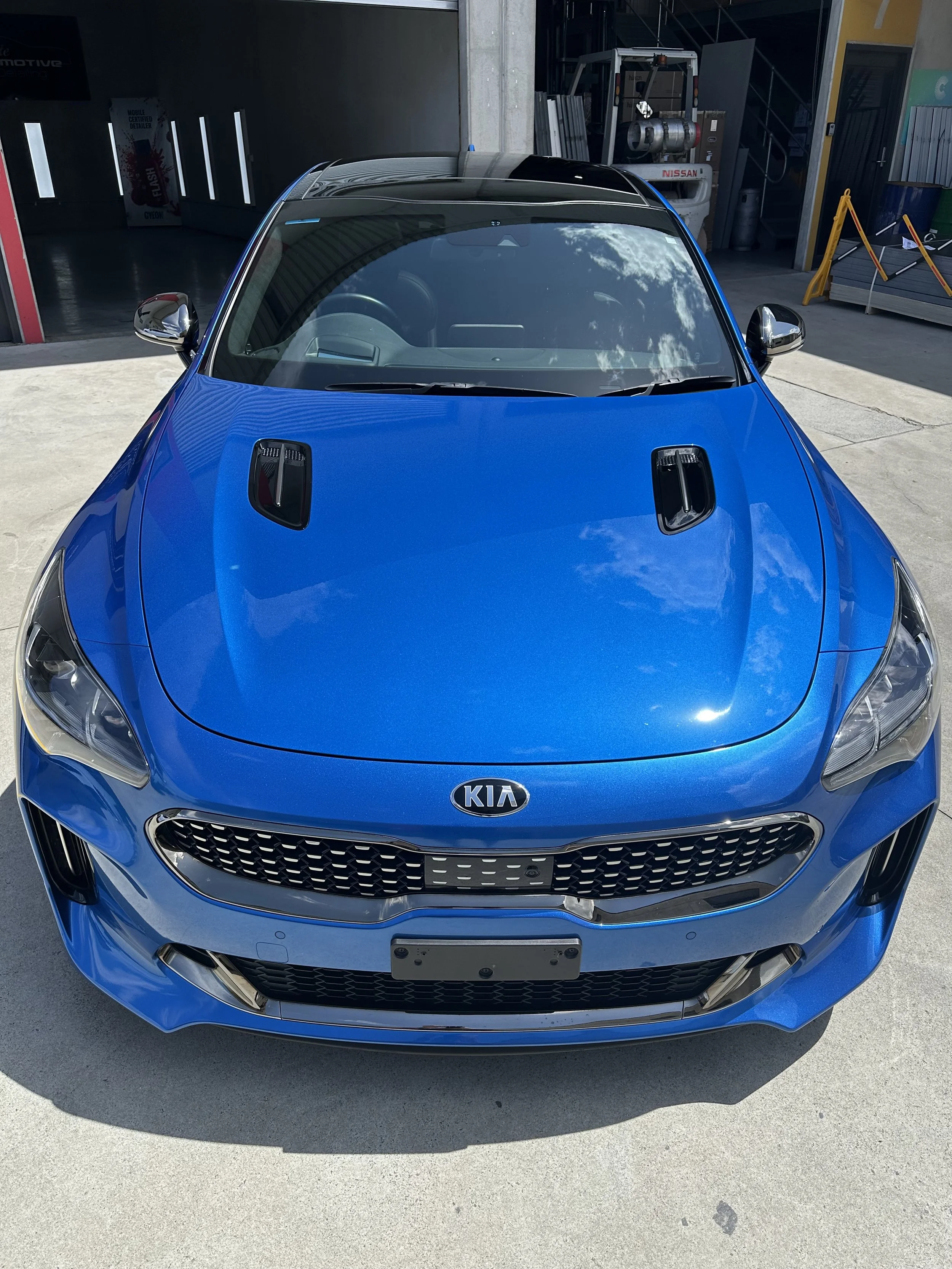 Elite Automotive Detailing Illawarra (23).jpeg