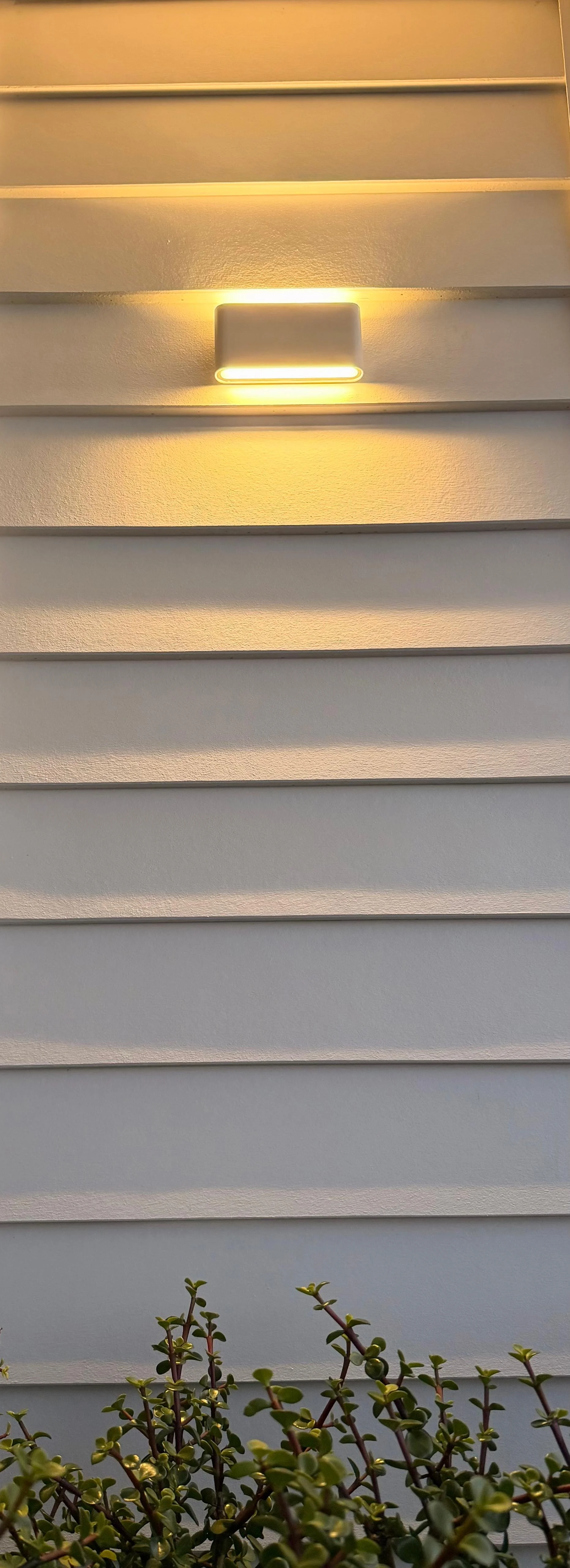 Exterior wall with horizontal siding, illuminated by a modern wall-mounted light fixture, with green shrubbery at the bottom.