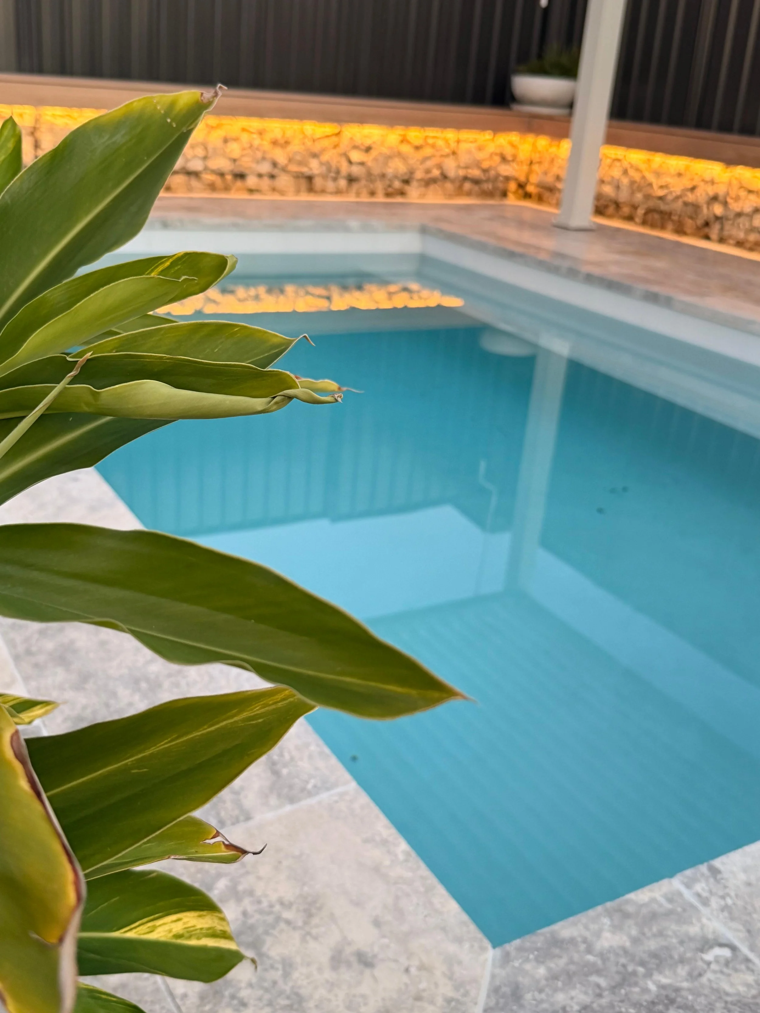 A close-up of a green plant in the foreground with a swimming pool and a wooden deck with a planter in the background.