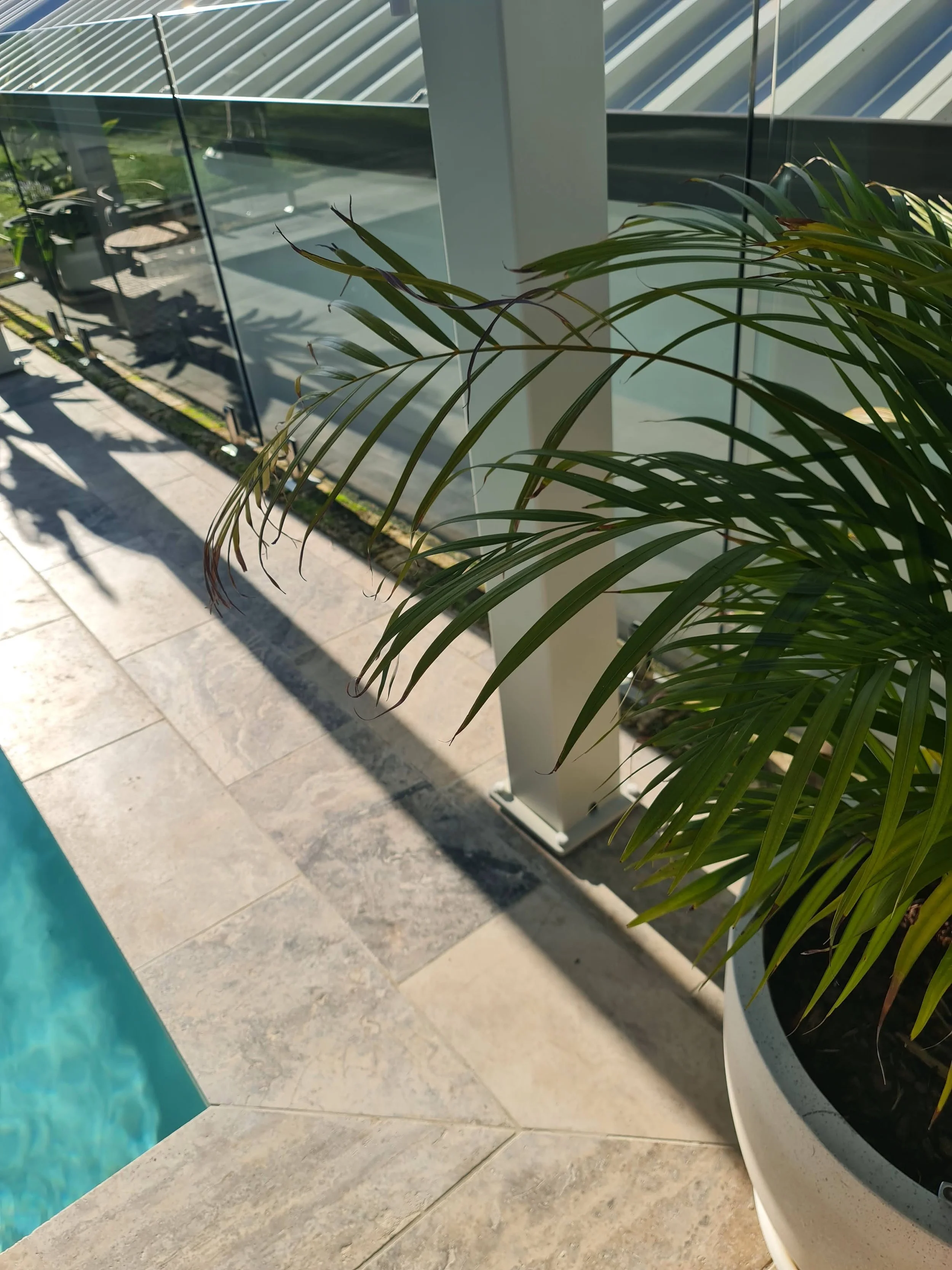 Close-up of a potted plant overlooking travertine paving and a patio with grey tiles, glass barrier, and grassy area.