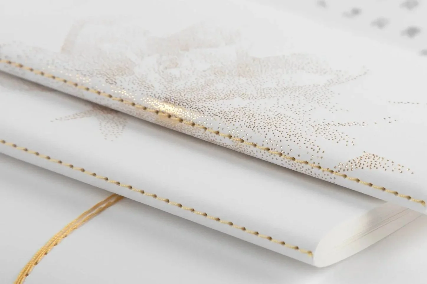 Ritratto di un libro con copertina bianca decorata con dettagli dorati e una fascia di stoffa dorata spezzata