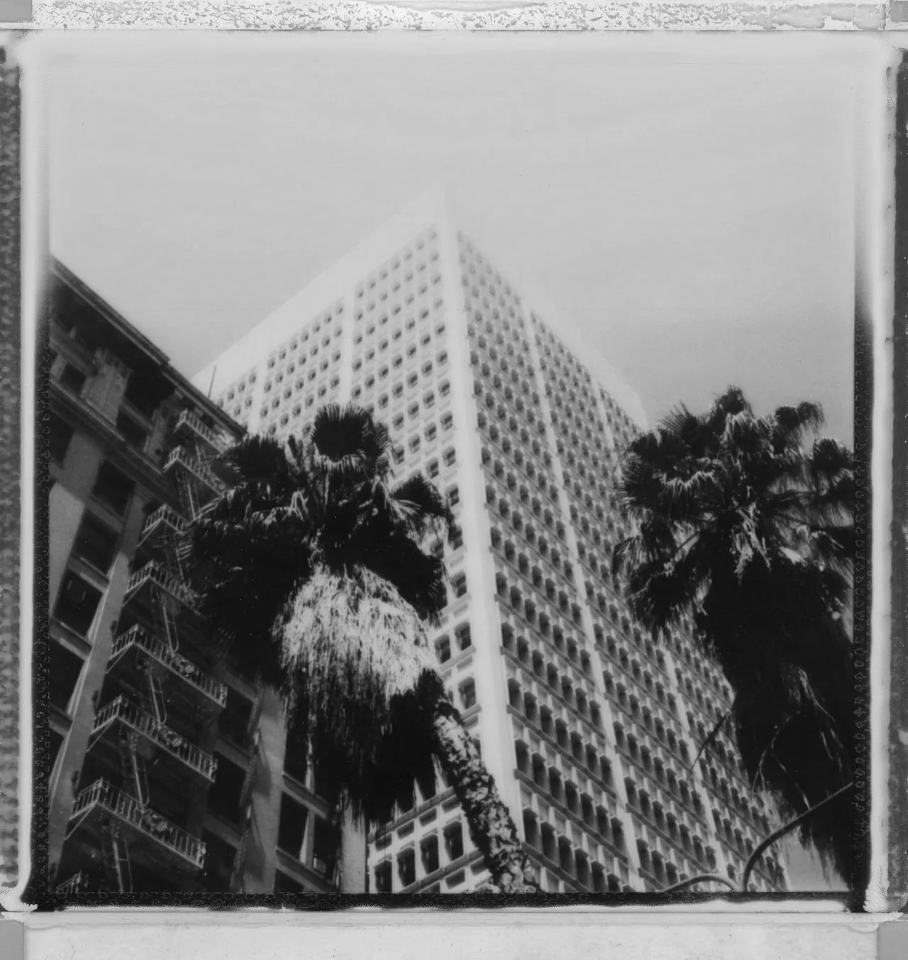 Black and white photo of tall building with numerous window panels and fire escape balconies on the side. Pine trees in the foreground and another building partially visible on the left side.