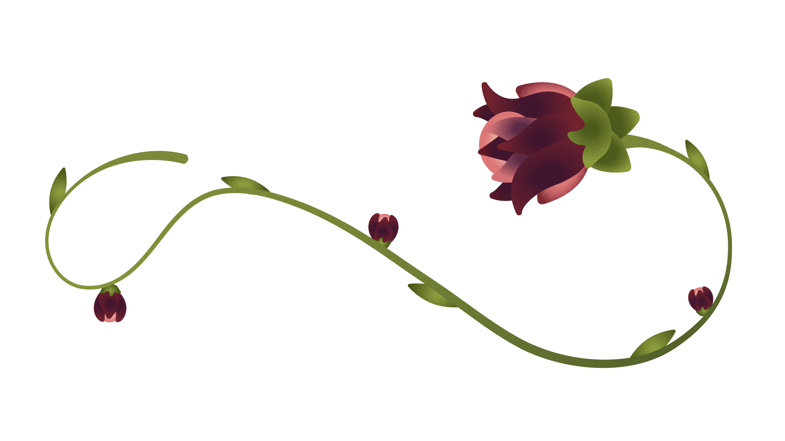 Untitled-2-03.png