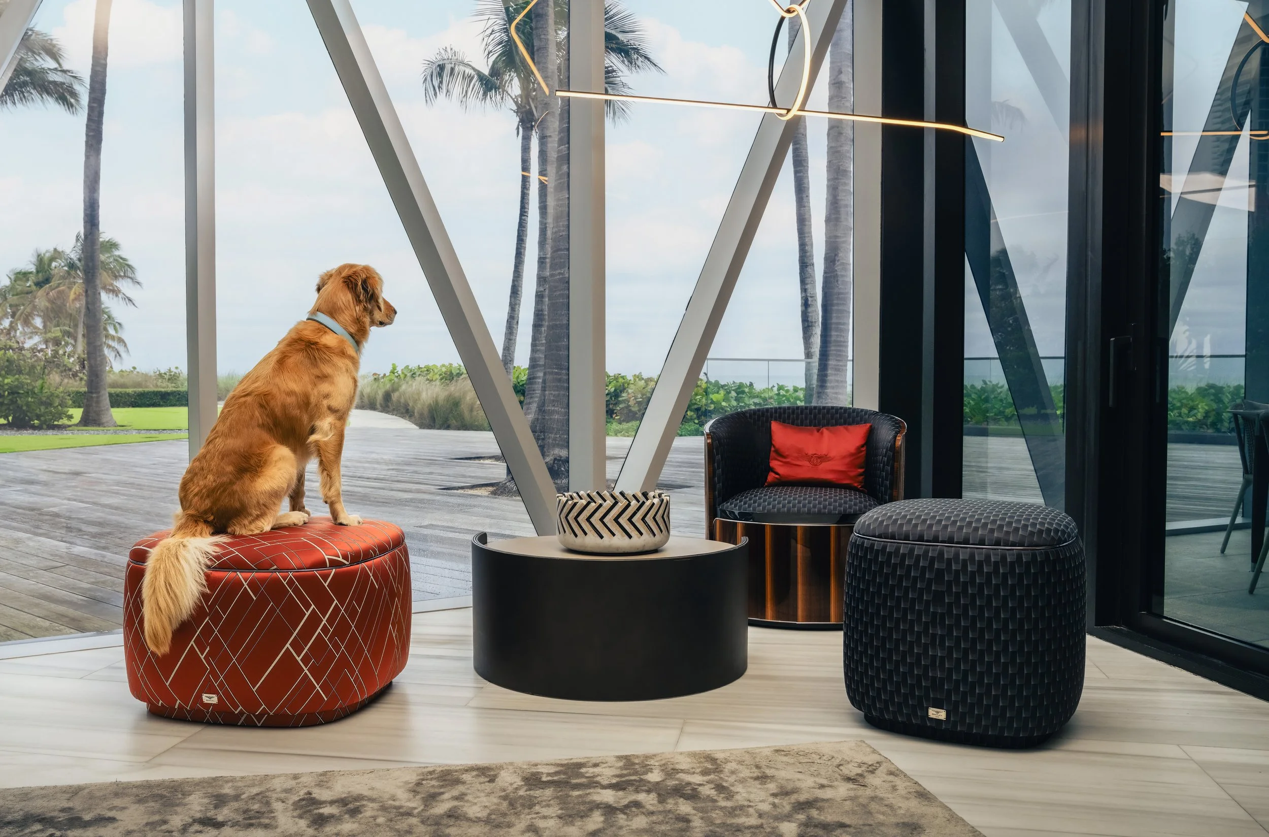 Miami Residences Pet Spa - 3.jpg