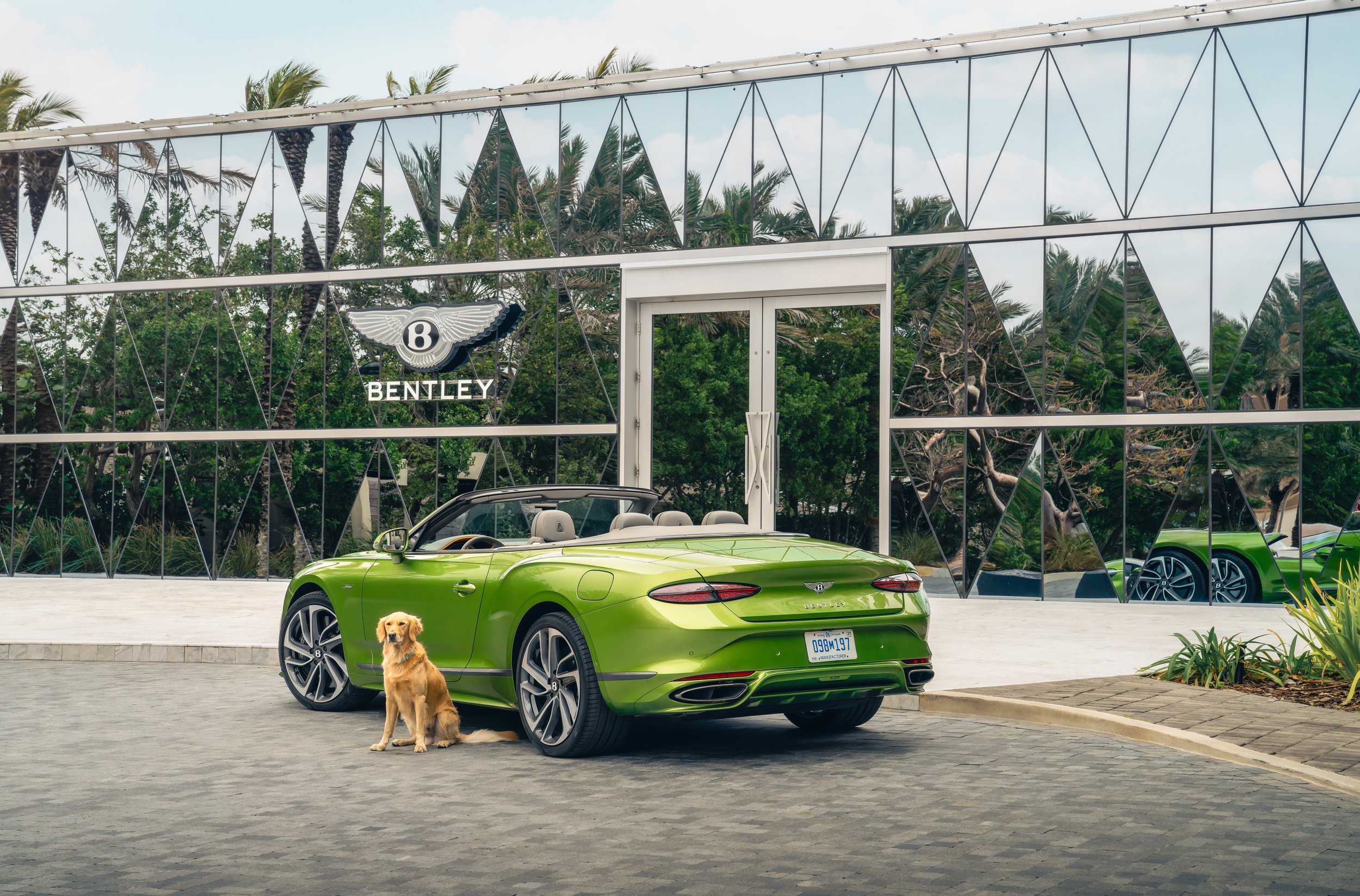 Miami Residences Pet Spa - 1.jpg