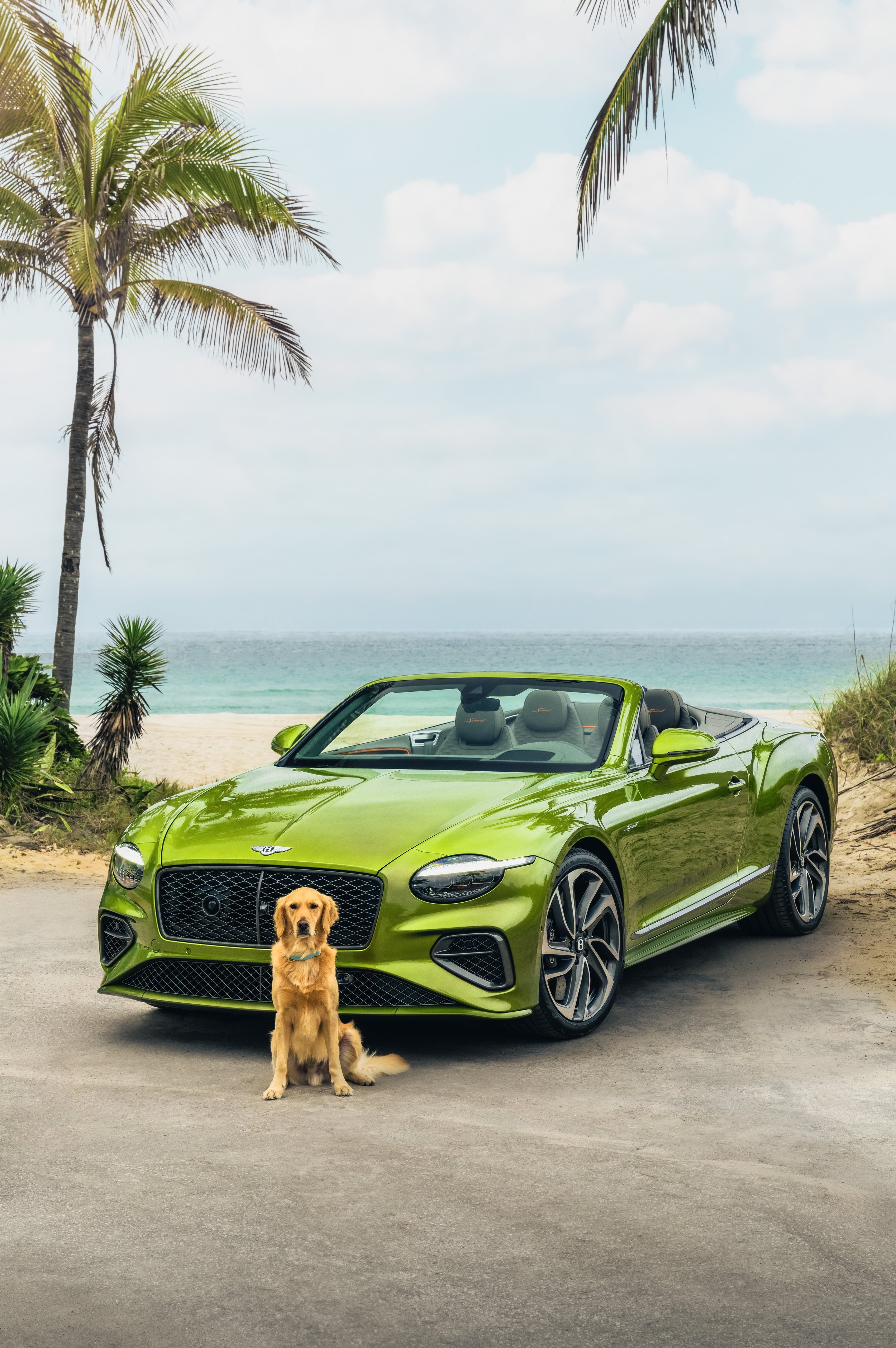 Miami Residences Pet Spa - 10.jpg