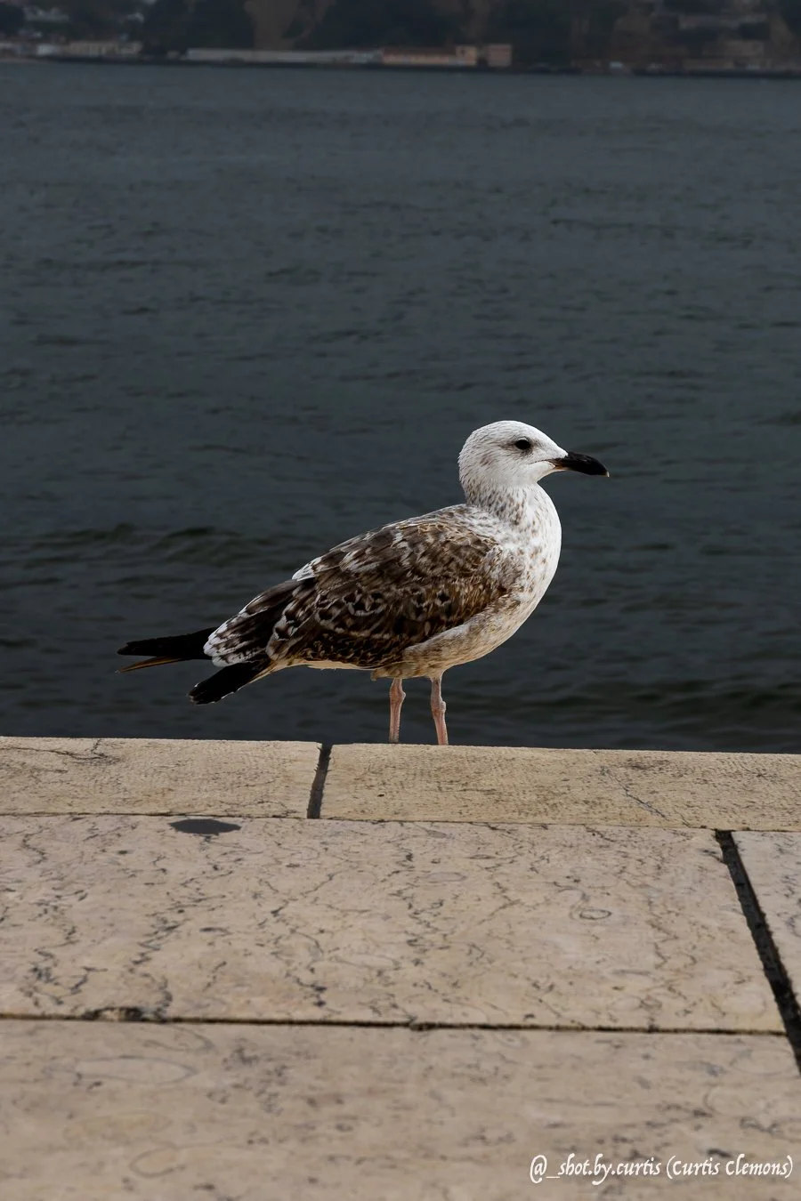 835A7516.jpg