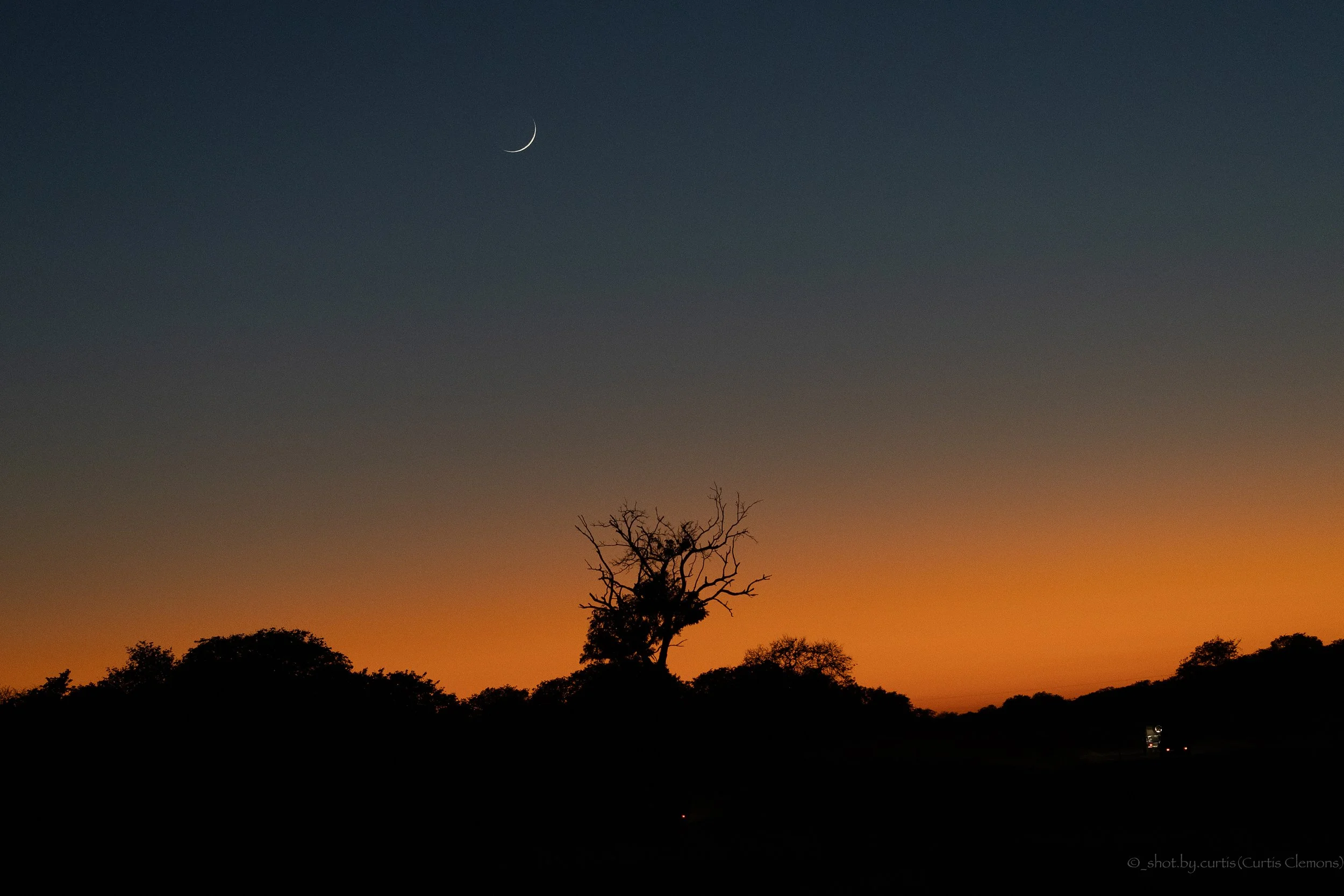 A silhouette of trees against a sunset sky, with a crescent moon visible in the upper left.