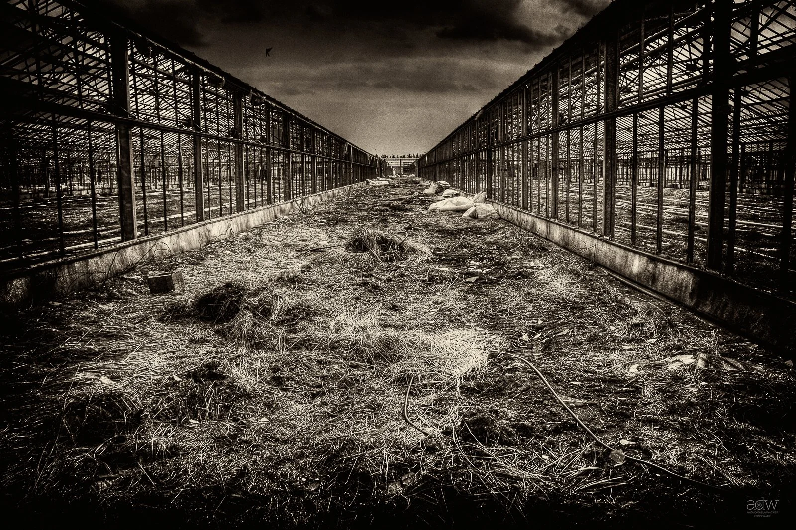 Empty greenhouse with broken glass and debris on the ground, under a dark, cloudy sky.
