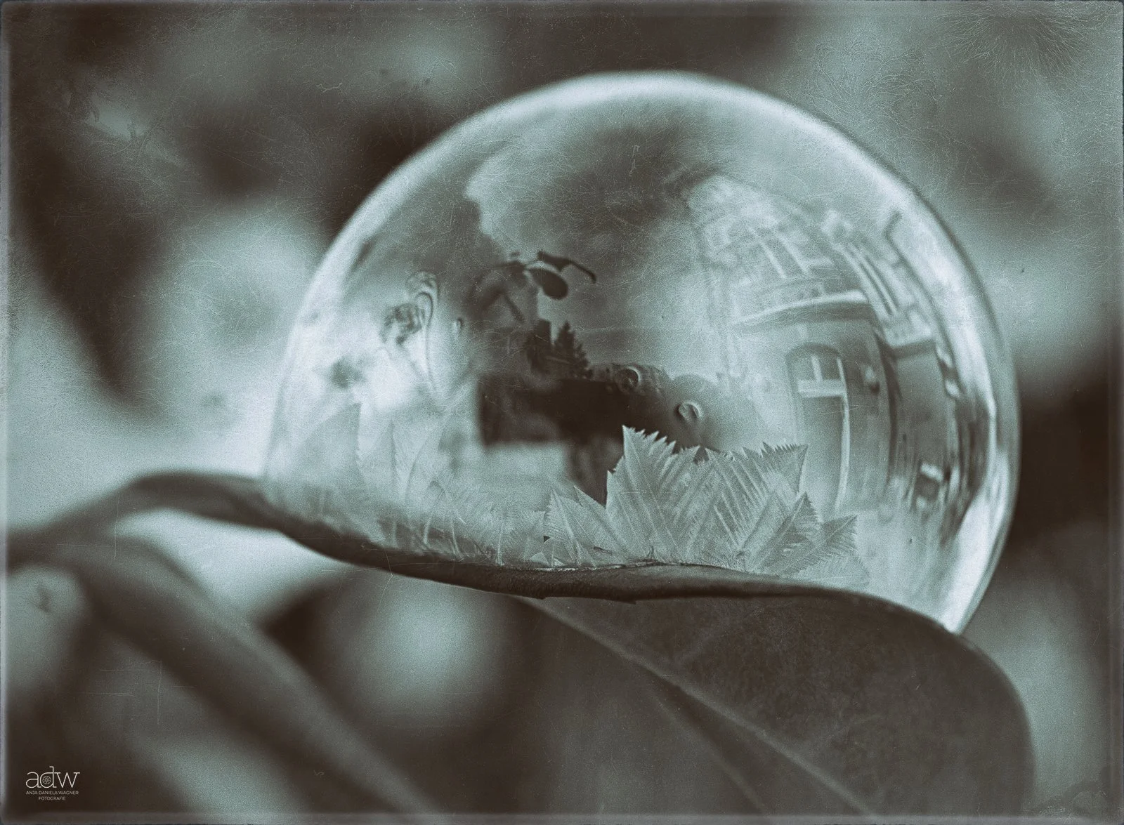 A close-up view of a glass with a cold drink, ice cubes, and lemon slices, showing reflections of buildings and a person taking the photo.