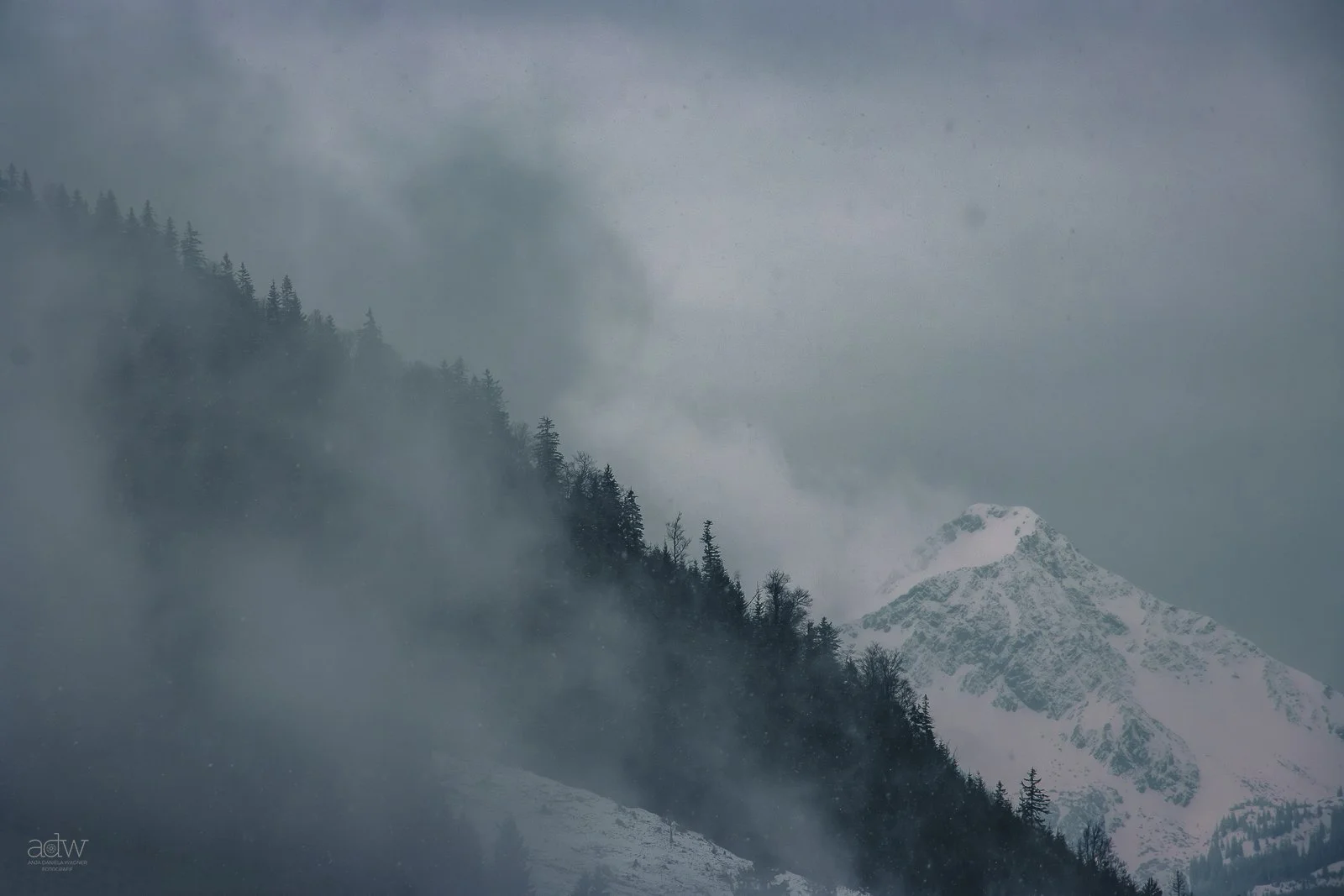 Snow-capped mountain with forested slopes in foreground shrouded in mist and clouds.