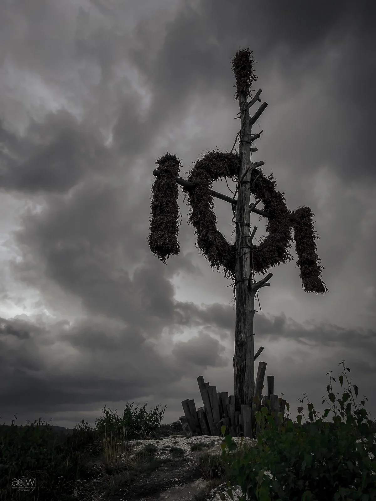 A tall wooden pole with bits of wood attached to it, under a cloudy, dark sky, with some plants in the foreground.