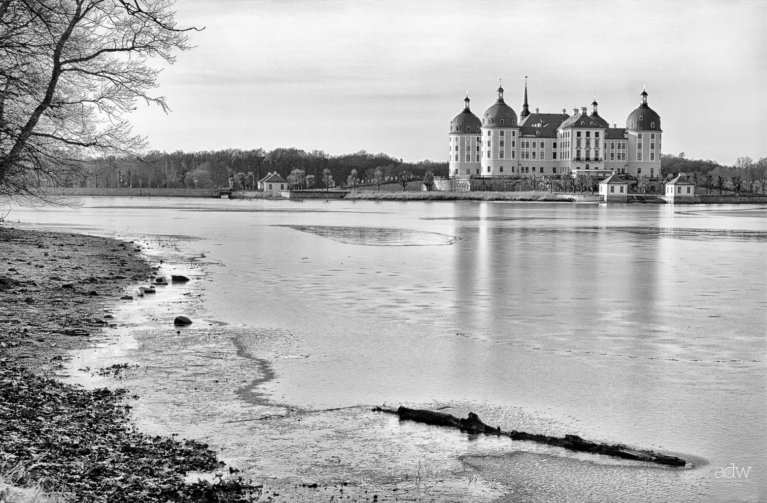 Black and white photograph of a castle situated on an island surrounded by a calm river, with trees lining the far bank and a shoreline with rocks and a fallen log in the foreground.