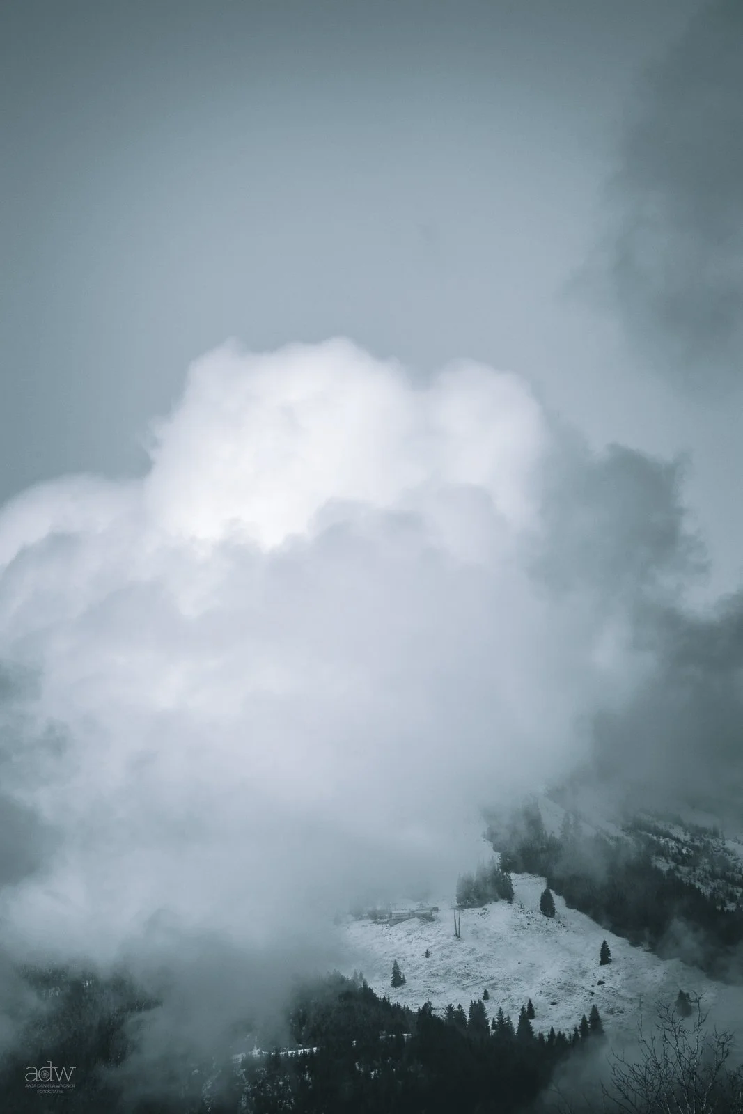 Cloudy mountain landscape with snow-covered slopes and evergreen trees, fog and mist in the air.