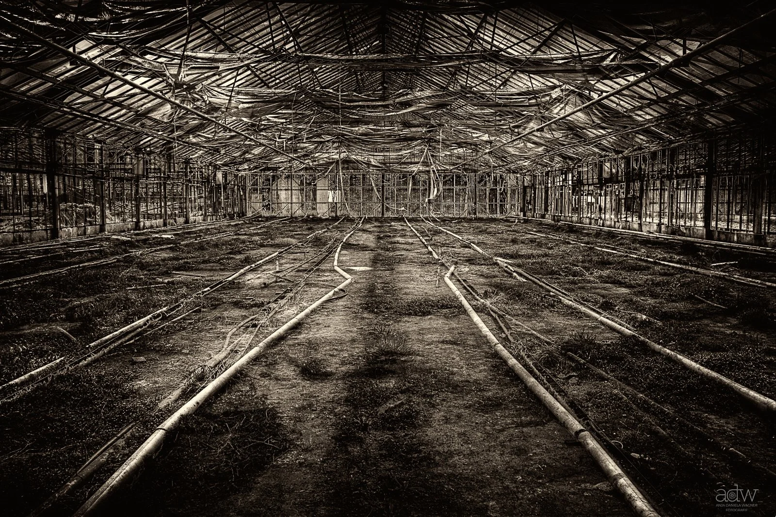 Dark, abandoned greenhouse with broken and disorganized pipes and wires hanging from the ceiling. The floor is covered with dirt and debris, and the structure shows signs of neglect and decay.