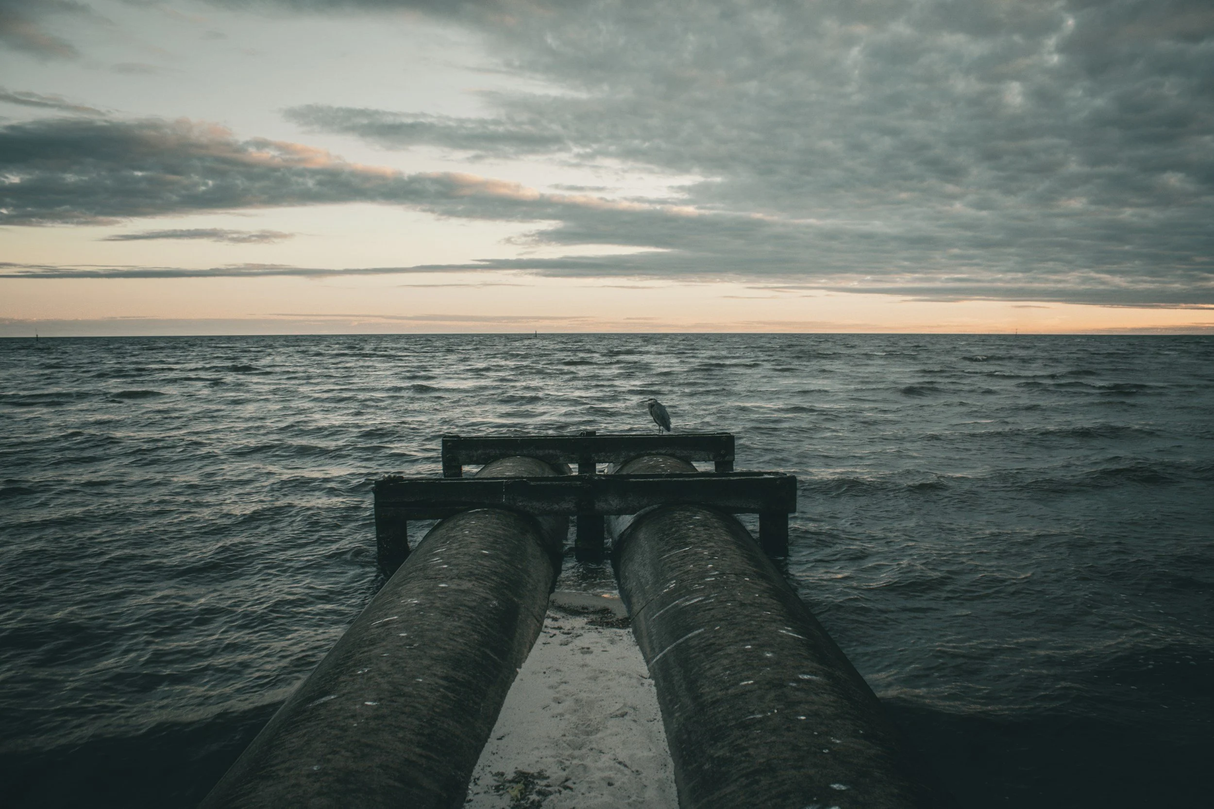 A seascape with a cloudy sky and two large pipes in the foreground, with a bird perched on one of the pipes and the ocean stretching to the horizon.