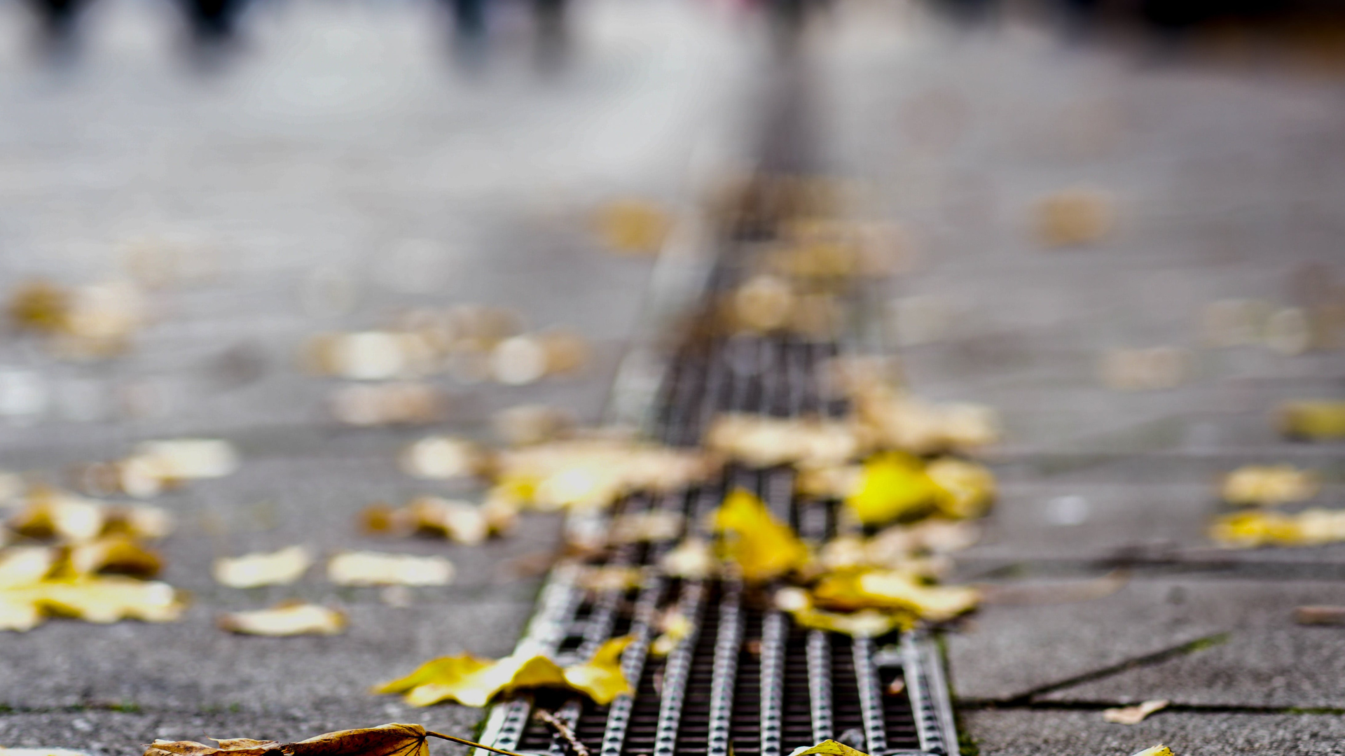 Storm Drainage: Flexible or Rigid Pipe Systems