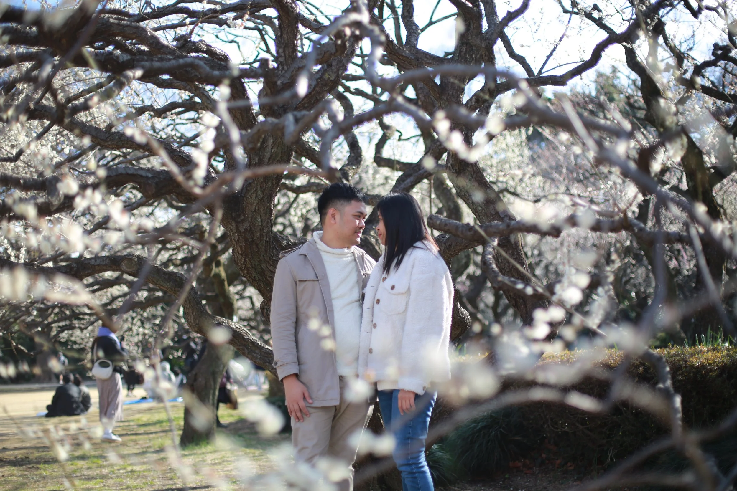 A couple stands closely together under a blooming tree in a park during spring. The man is wearing a light jacket and white turtleneck, and the woman is in a white jacket and jeans. The focus is on the couple, with branches of the flowering tree in t