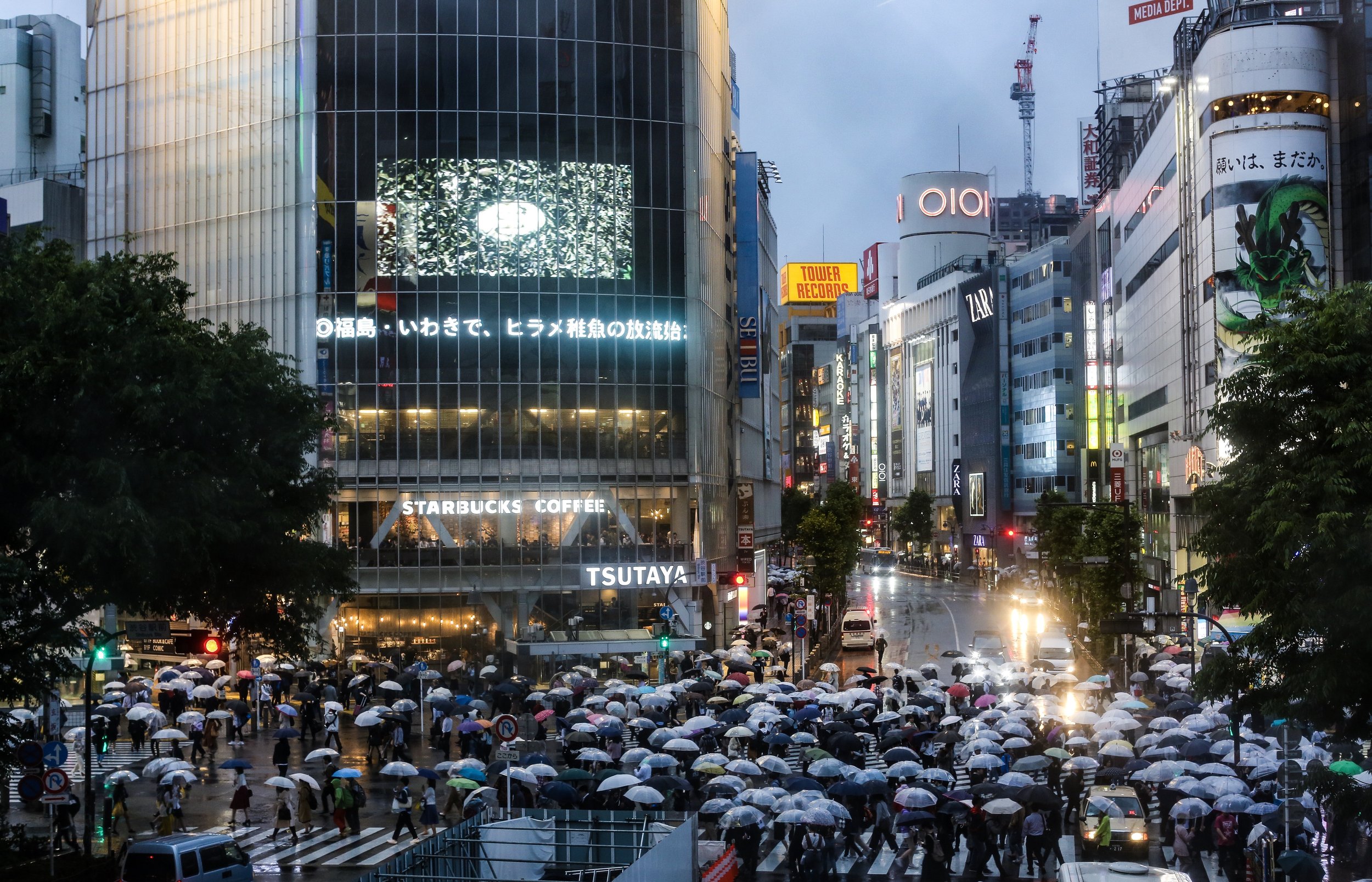 City street scene in Japan during rainy weather, with people holding umbrellas crossing at a crosswalk. Tall buildings with illuminated signs, including Starbucks, Tsutaya, and ZARA, line the street. Traffic lights and cars are visible, and trees are present in the foreground.
