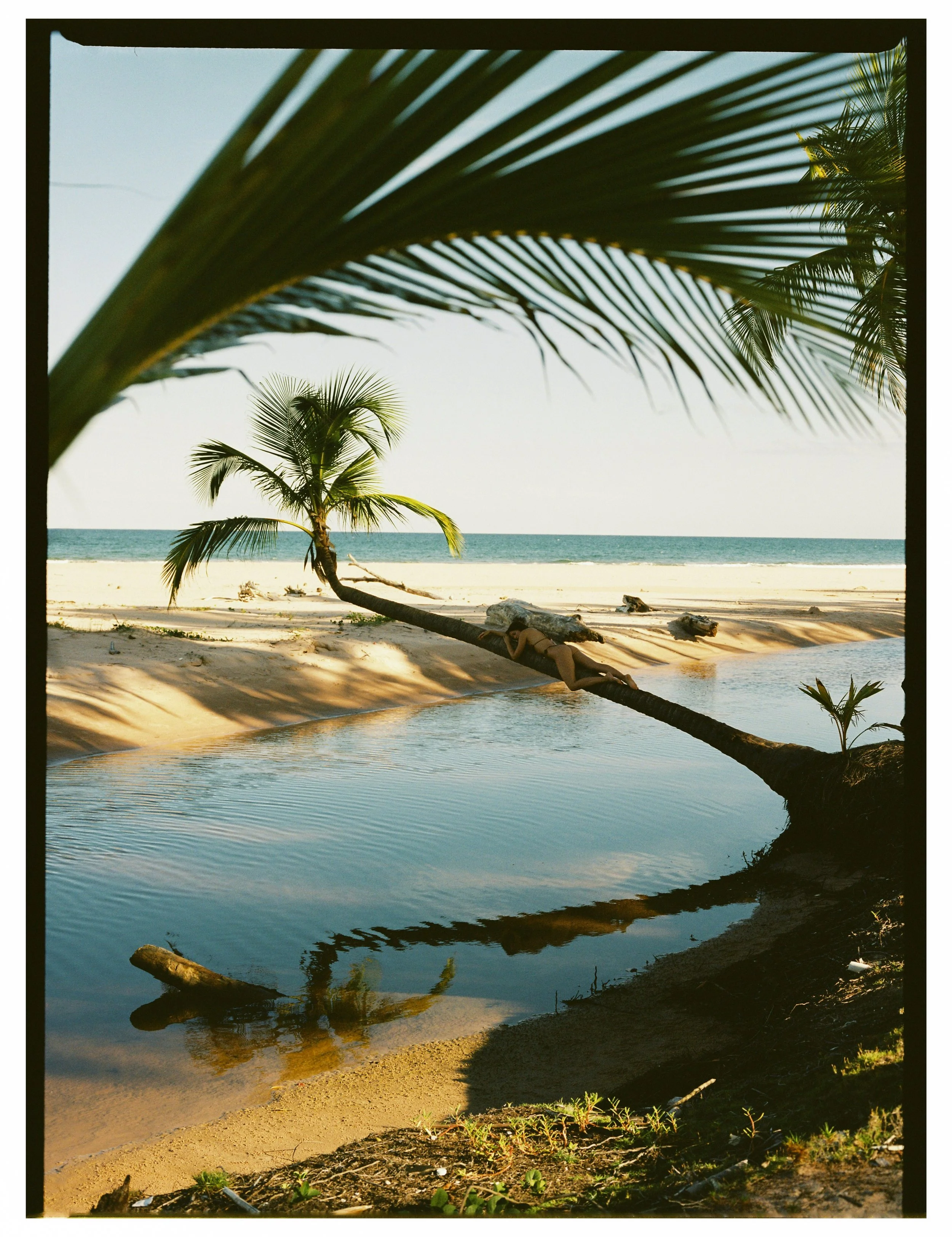 Brazil2_0011.jpg