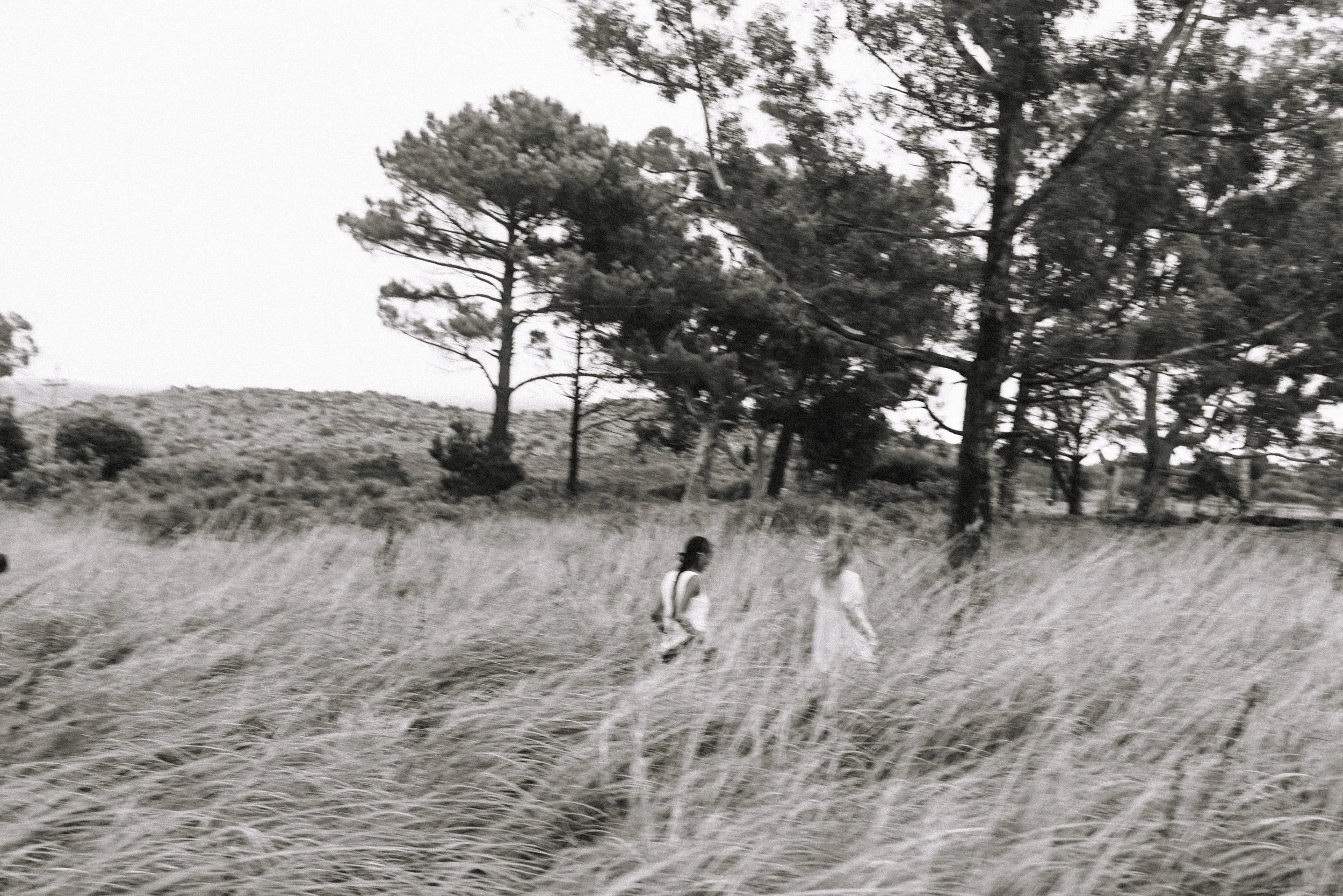 CPT HORSES-5.jpg